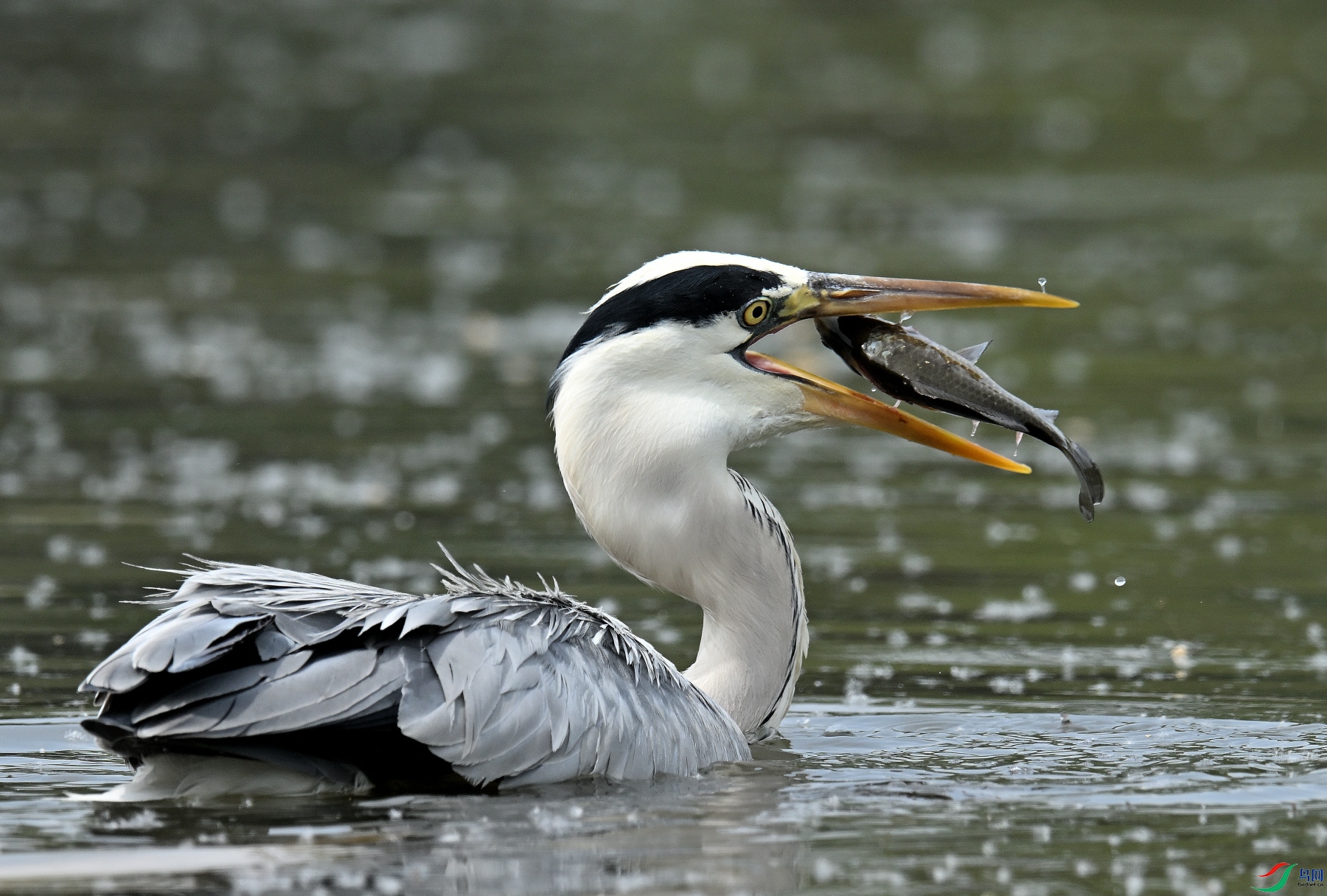 DSC_3925.JPG