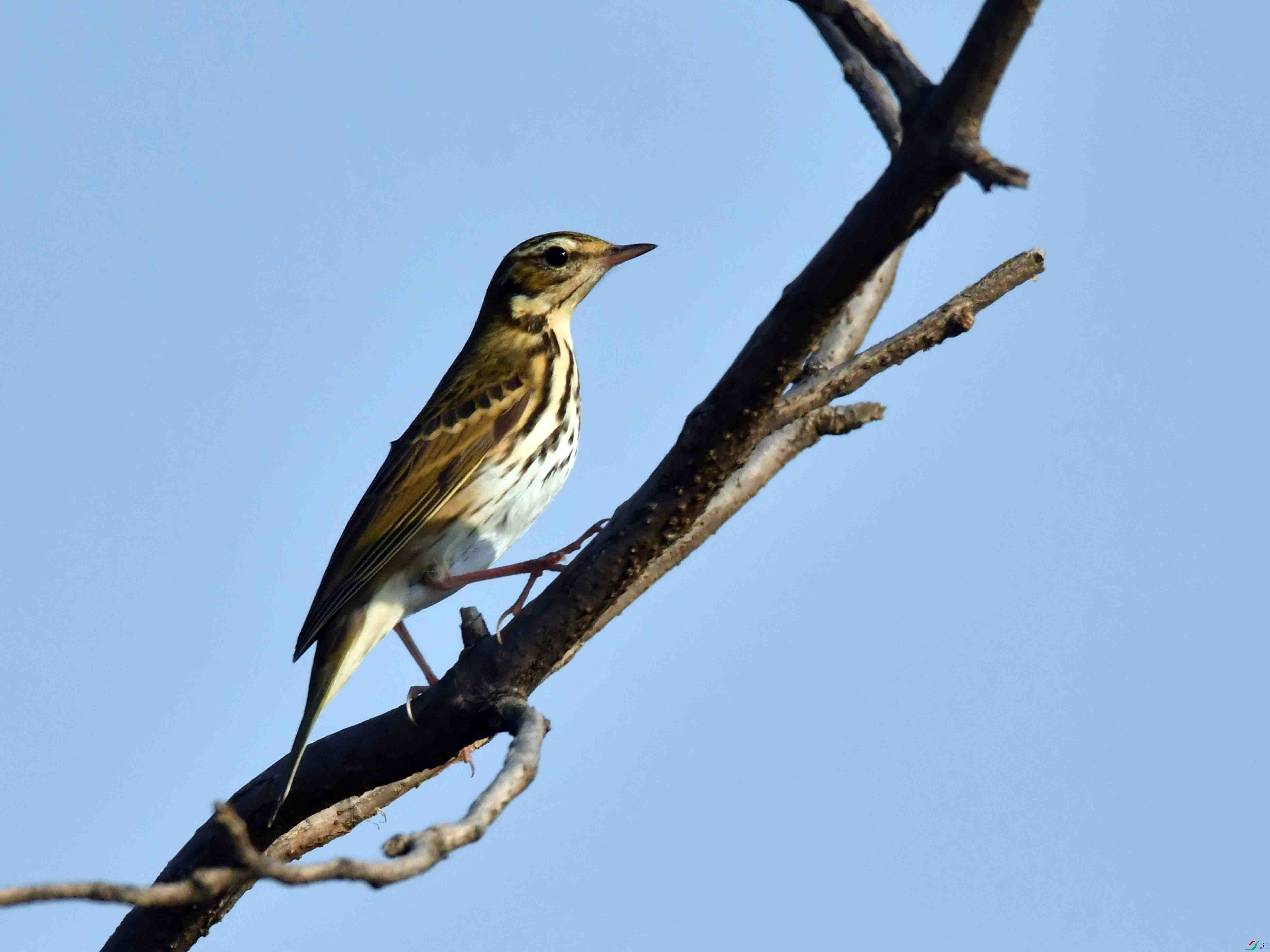DSC_7305.JPG