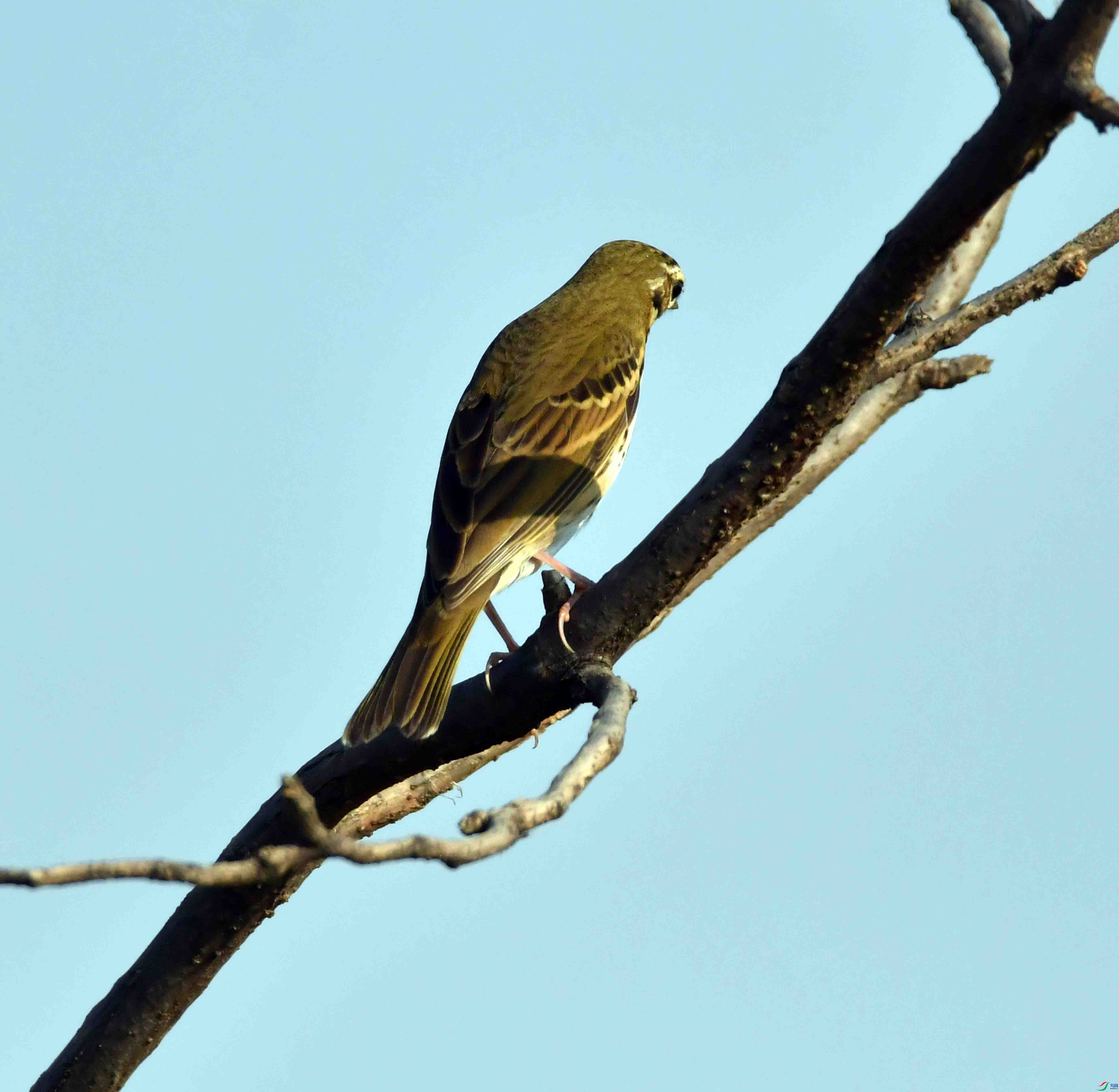DSC_7302.JPG