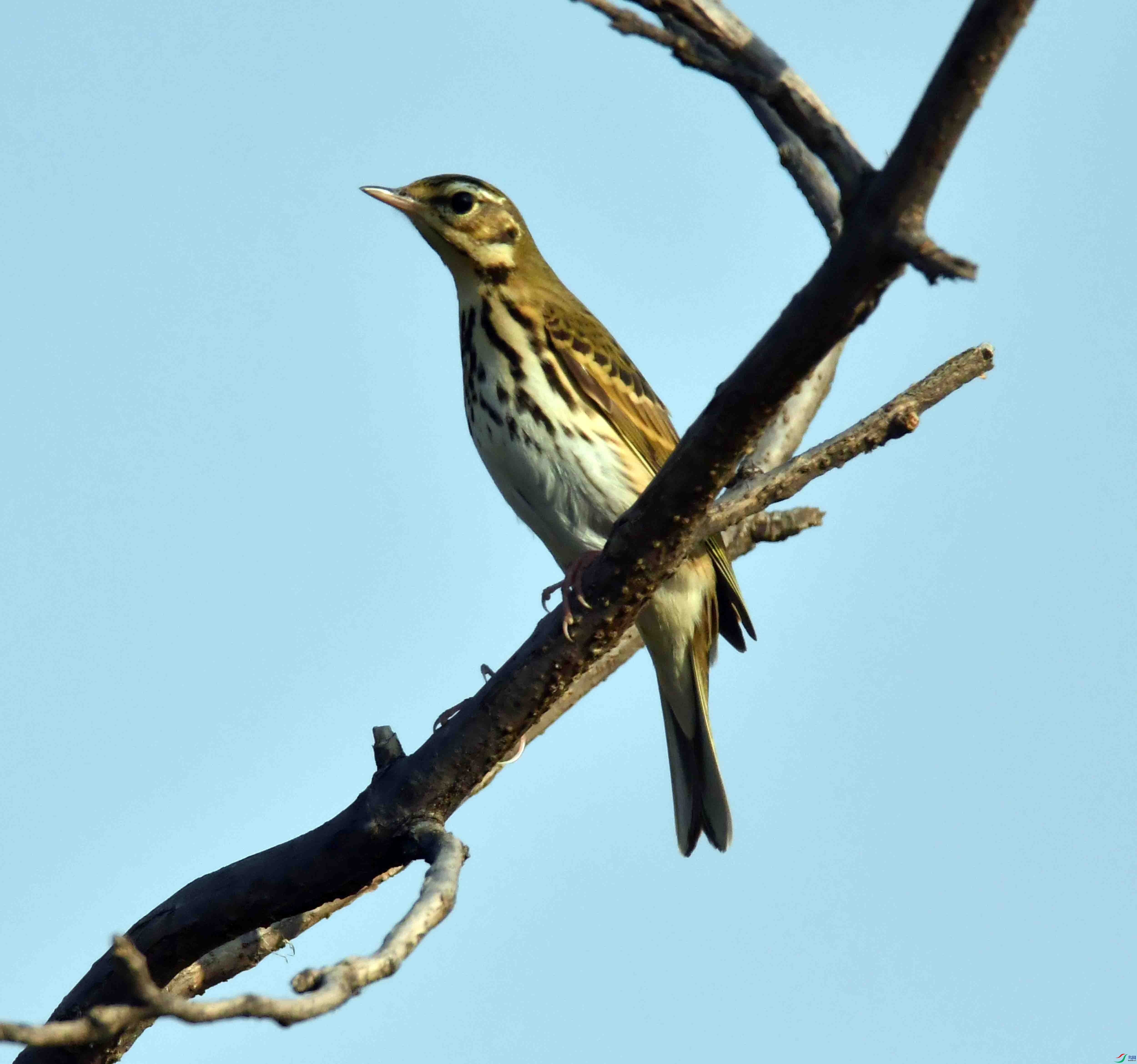 DSC_7309.JPG