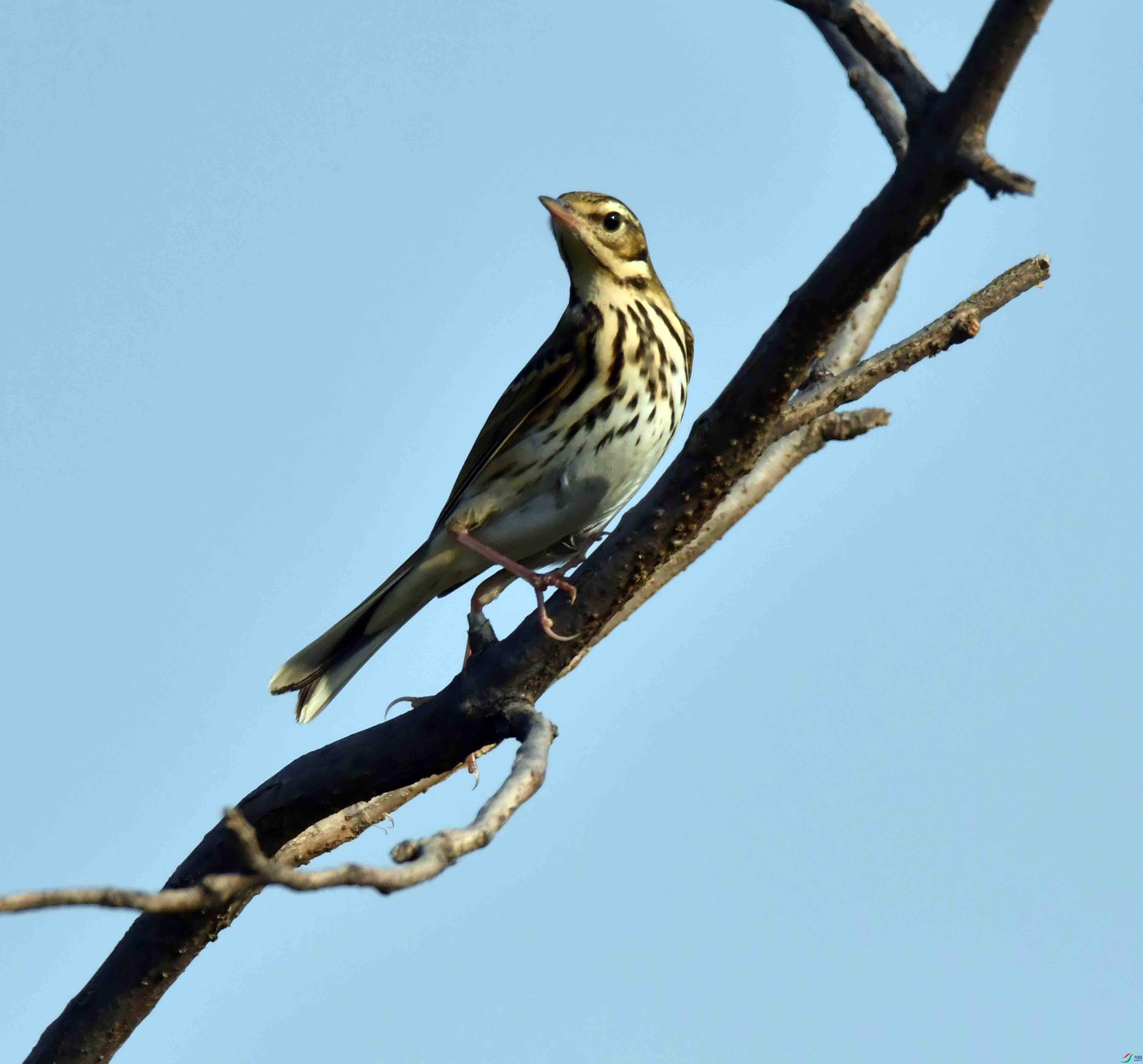 DSC_7306.JPG