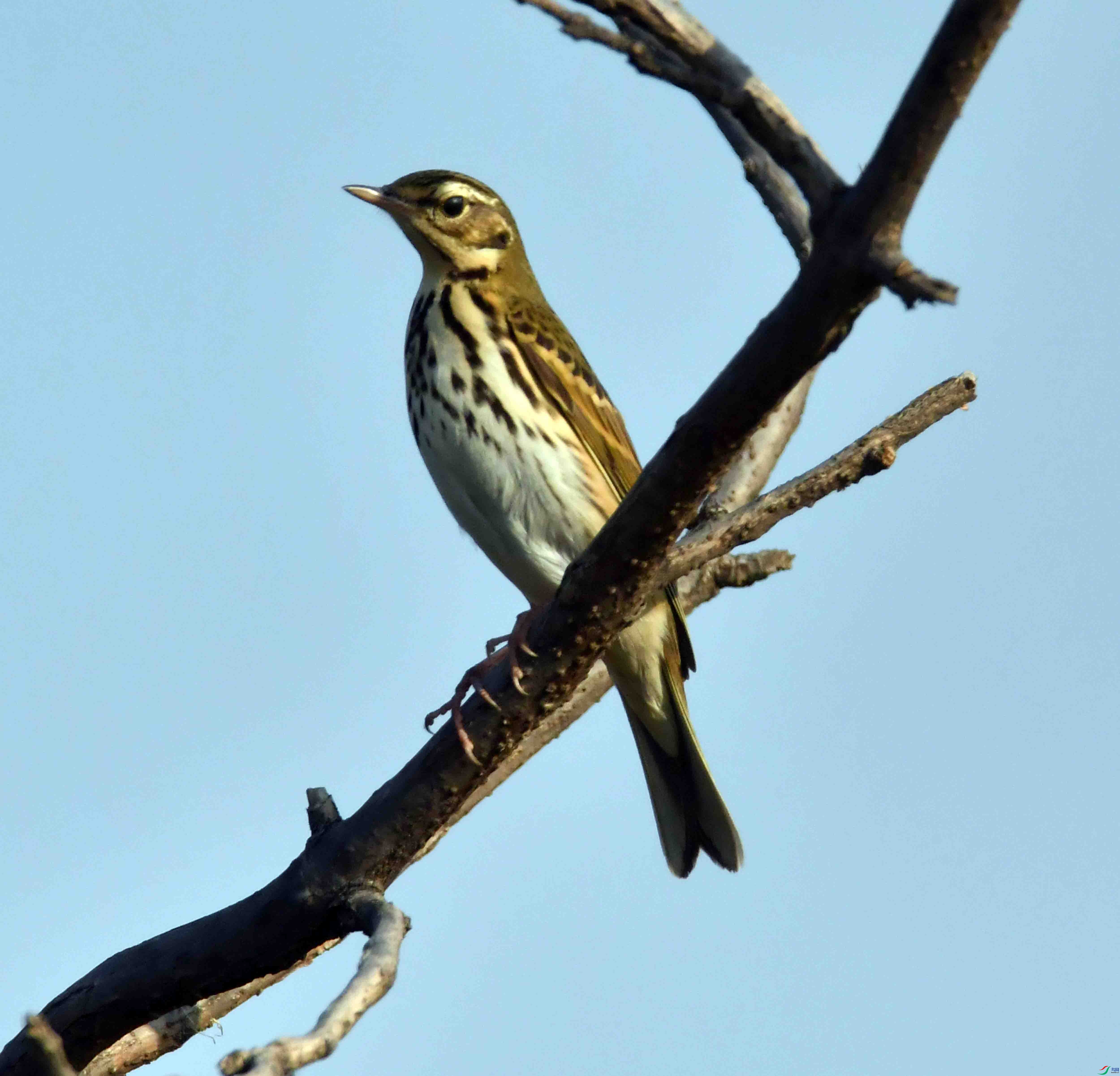 DSC_7312.JPG