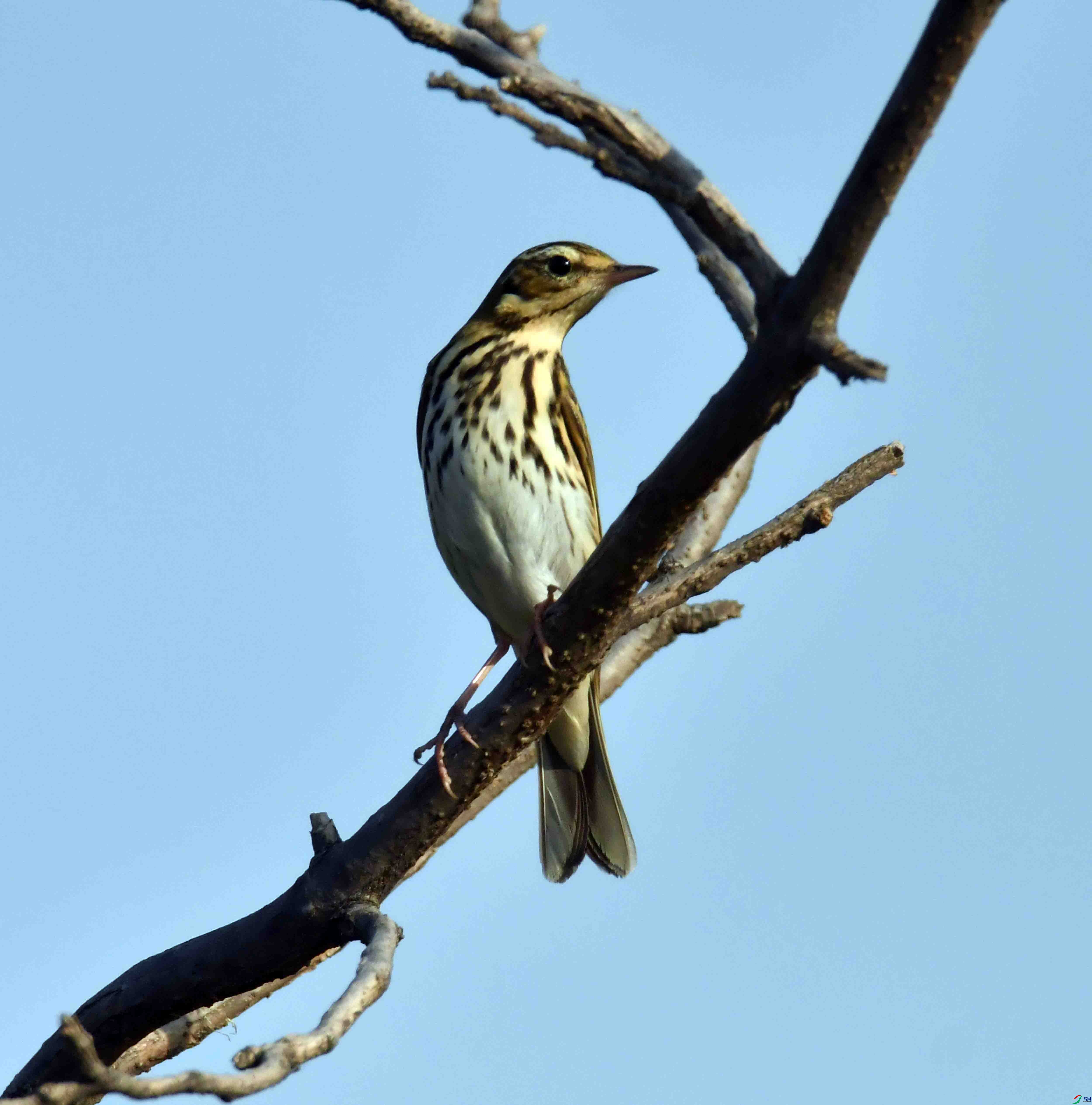 DSC_7314.JPG