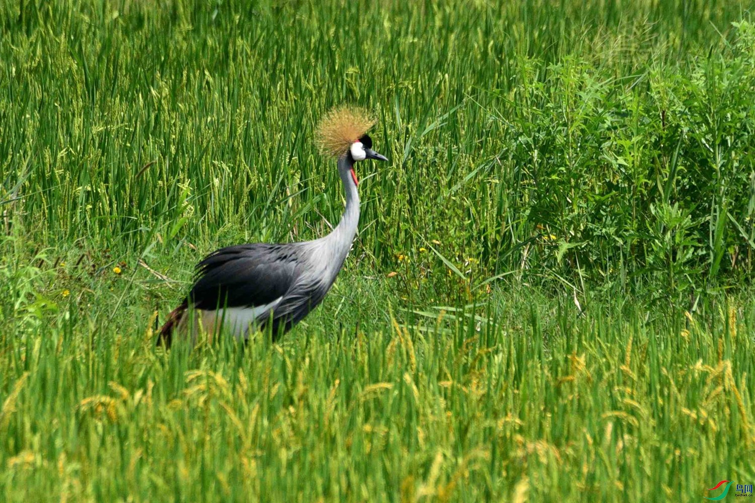 DSC_5201.JPG
