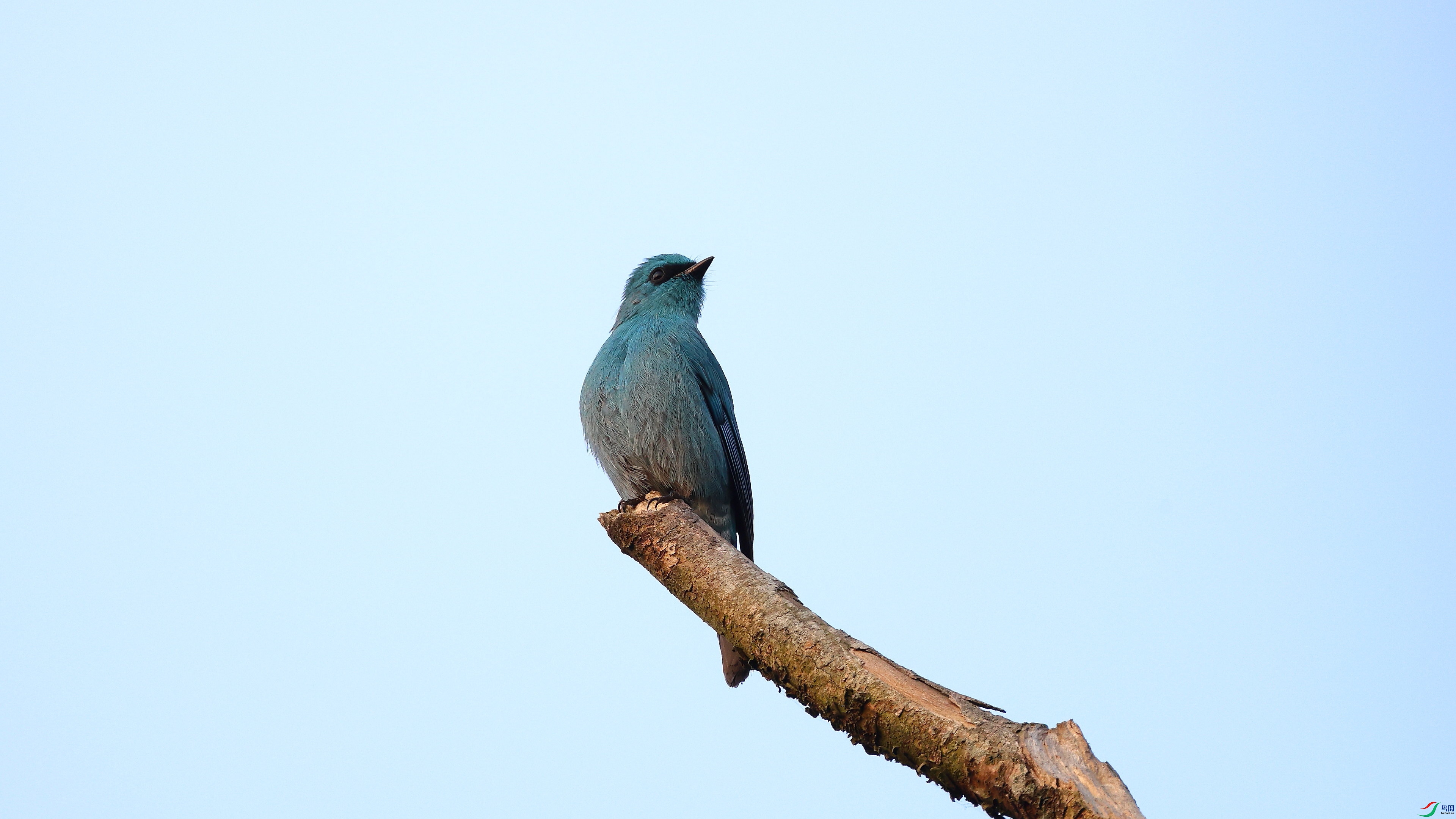IMG_4888.JPG