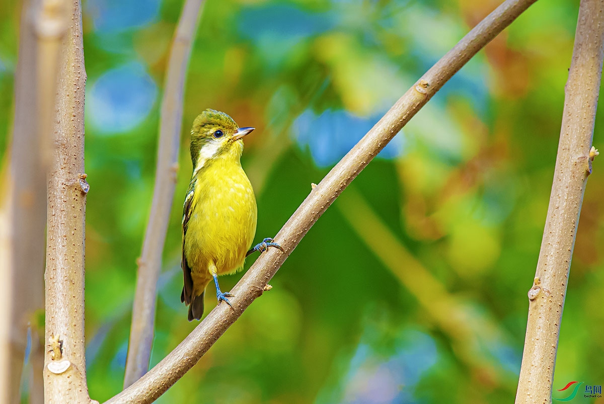 DSC_6875-����ǿ.jpg