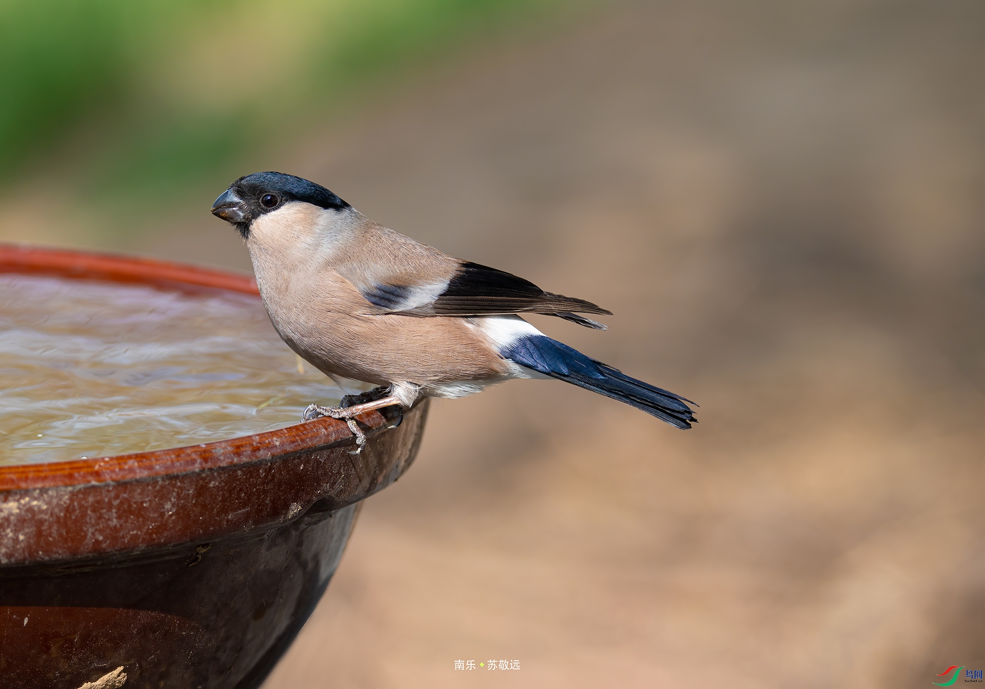 182���츹��ȸ.jpg