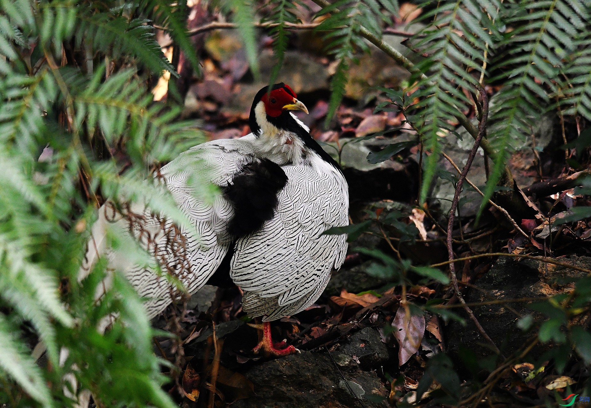 DSC_7343.jpg