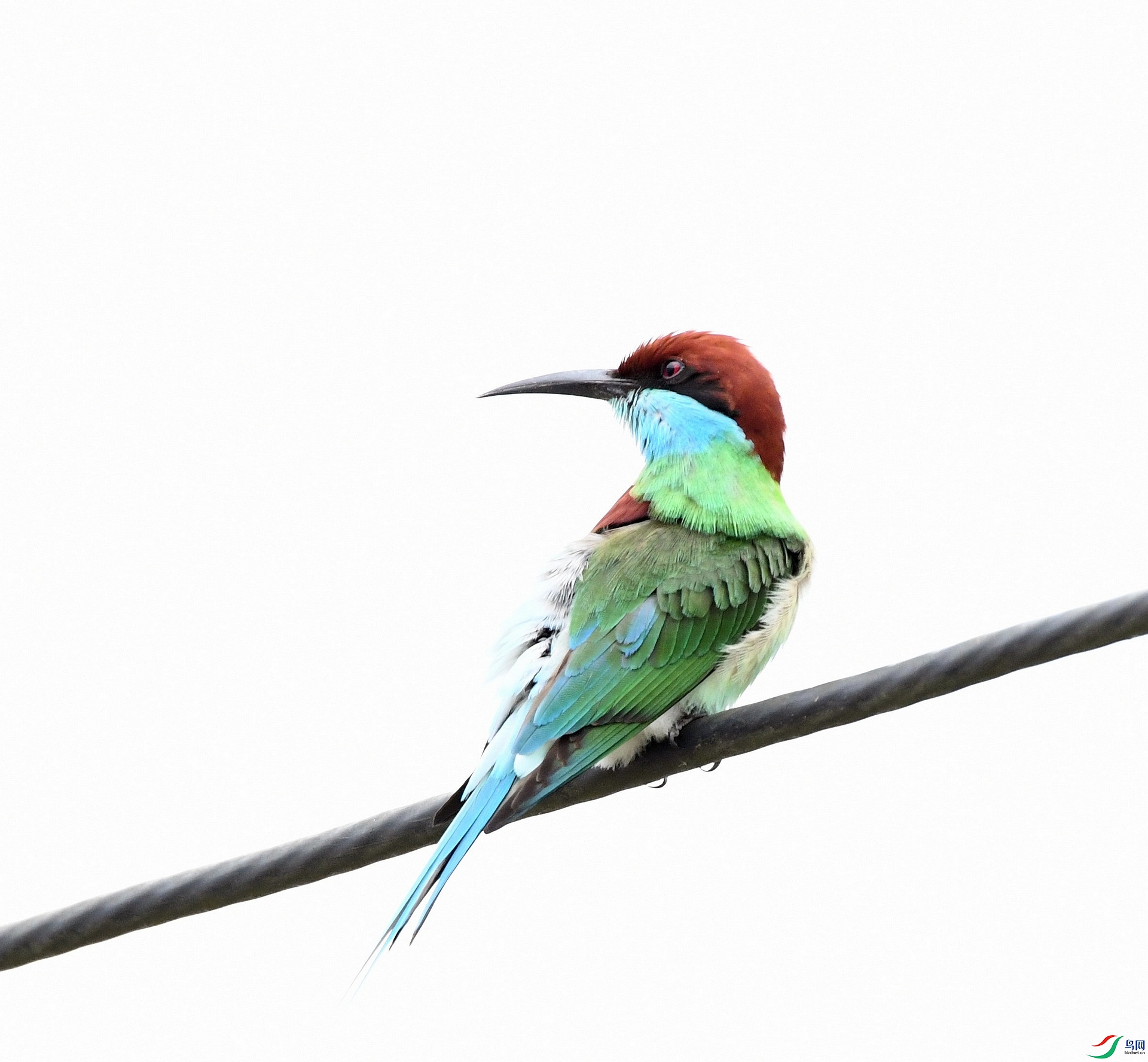 DSC_8050.jpg