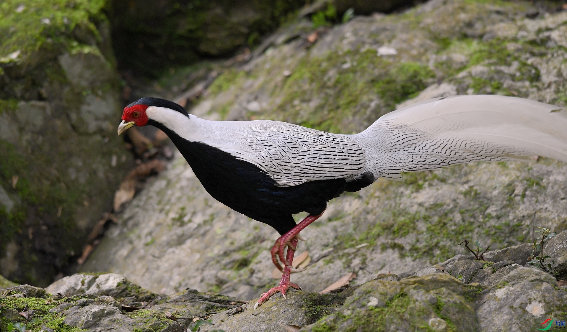 DSC_7315.jpg