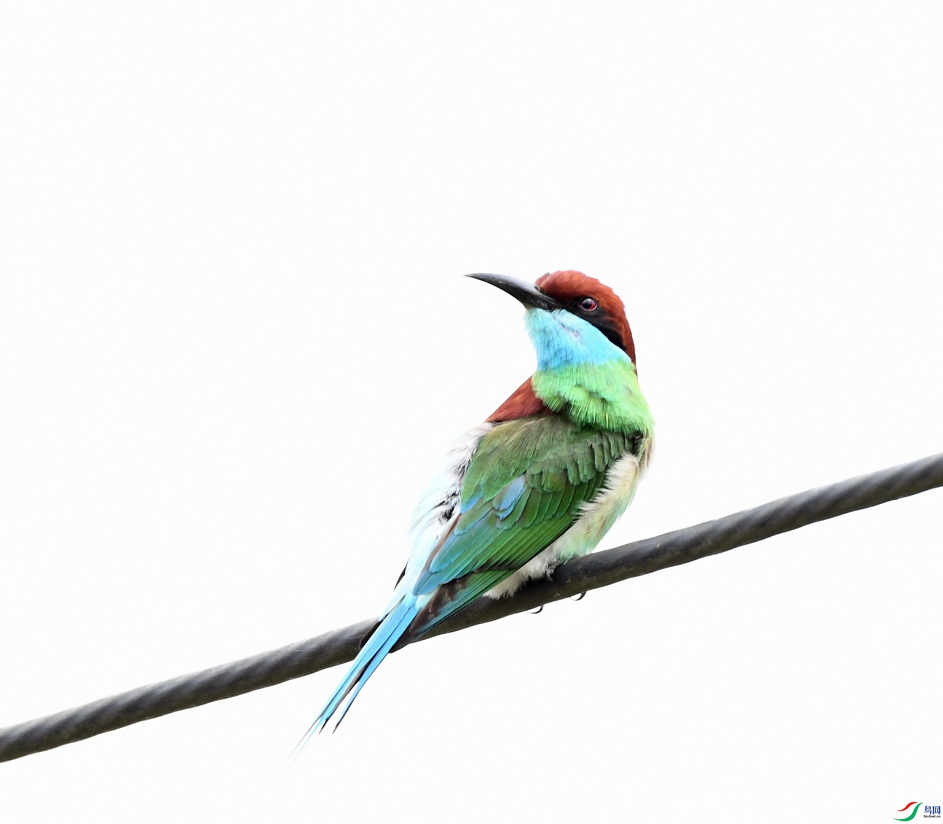 DSC_8056.jpg