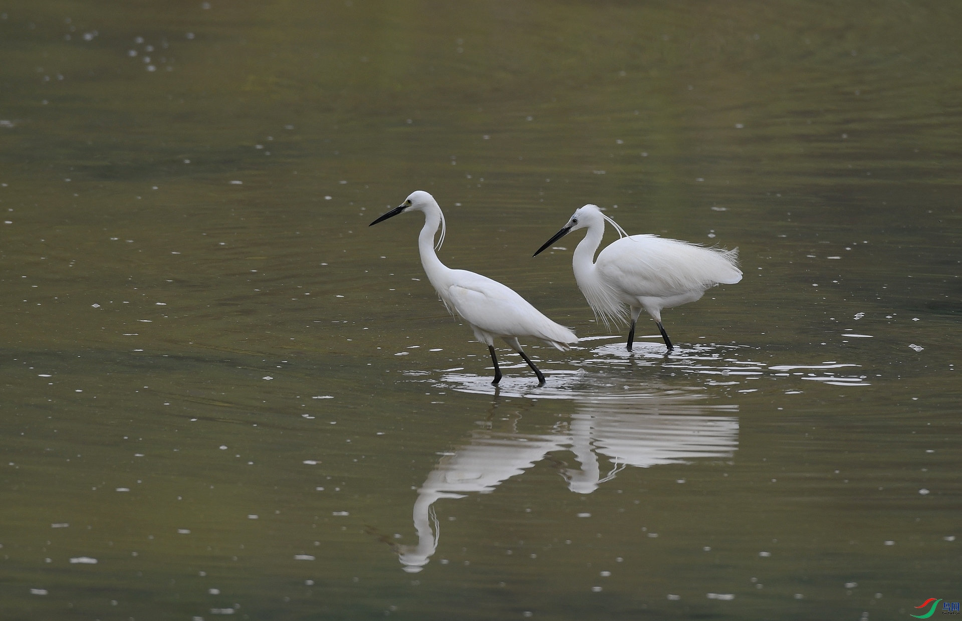 DSC_6613.jpg