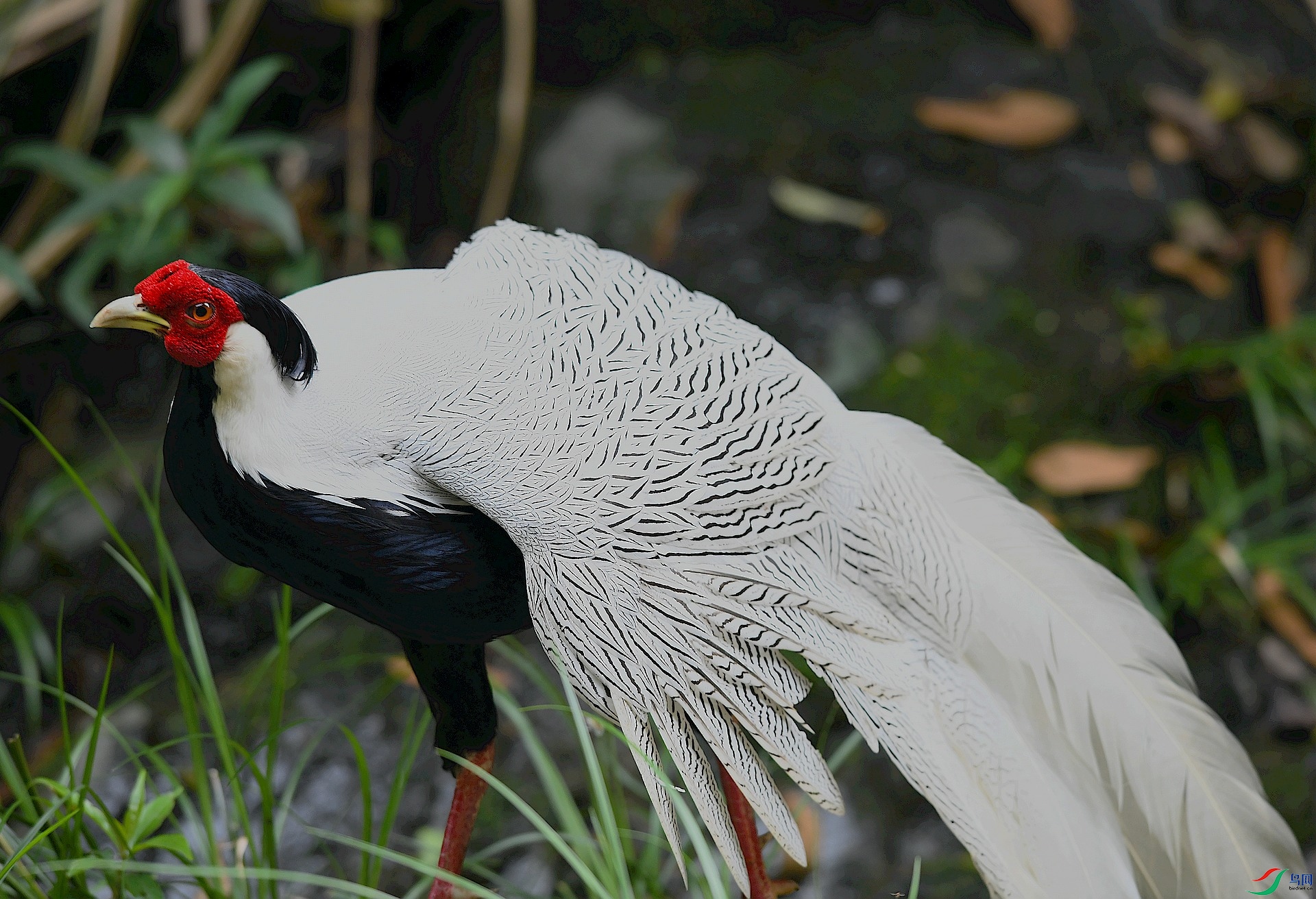 DSC_6418.jpg