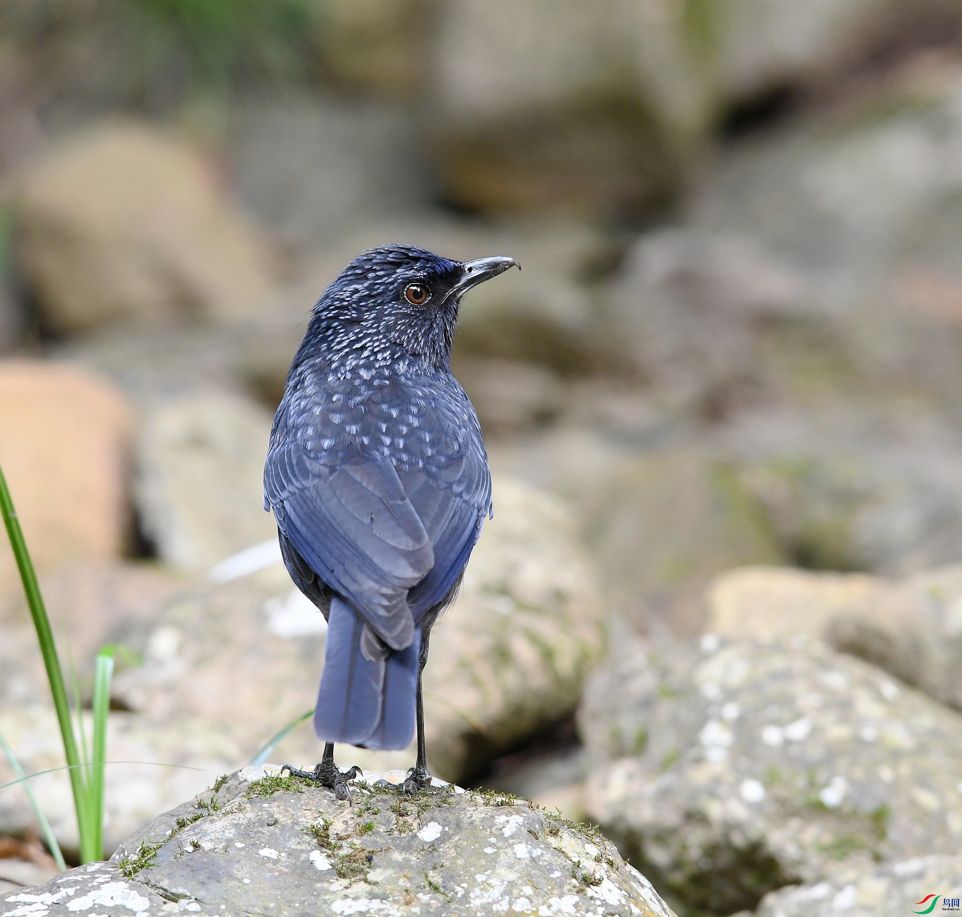 DSC_5765.jpg