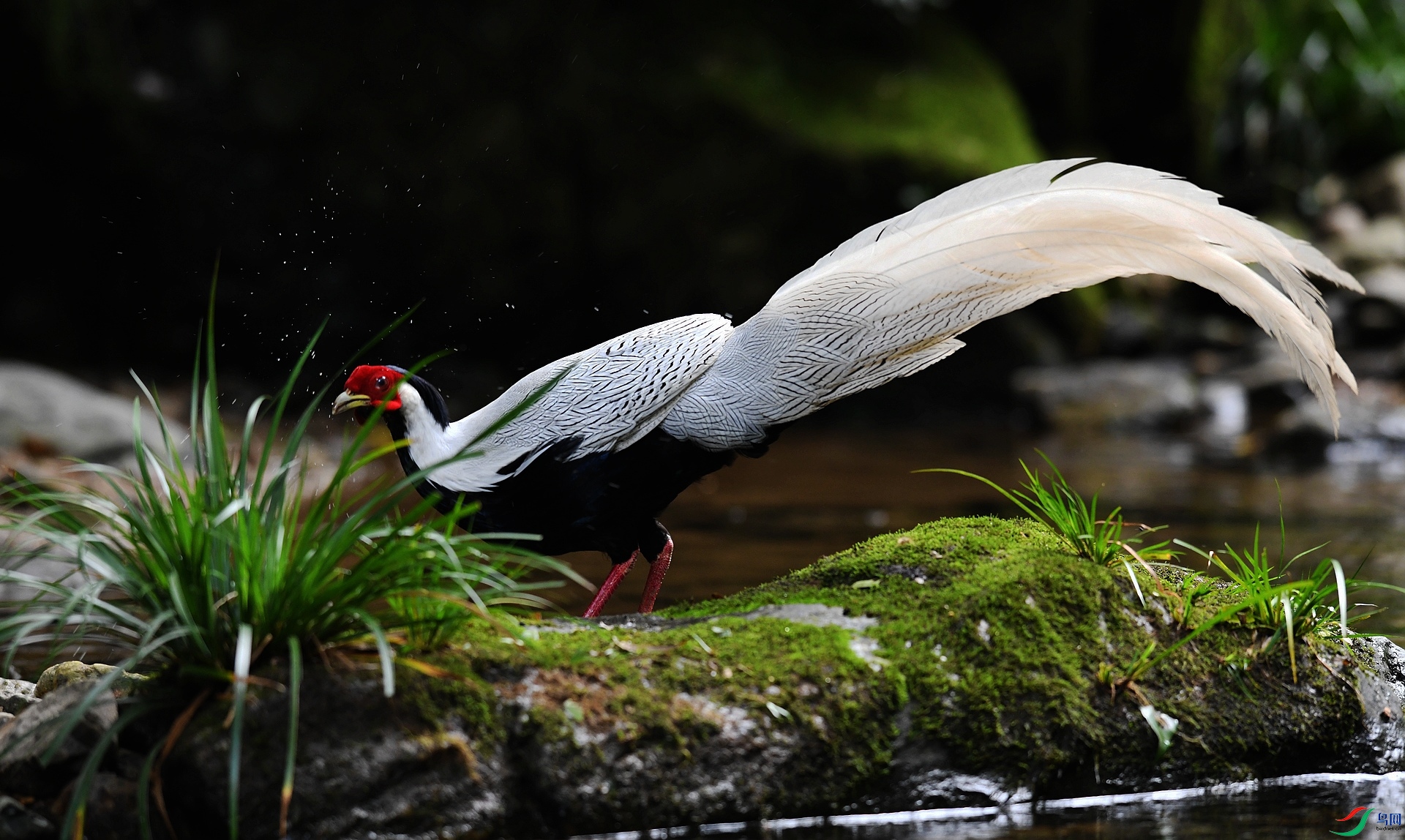 DSC_5941.jpg