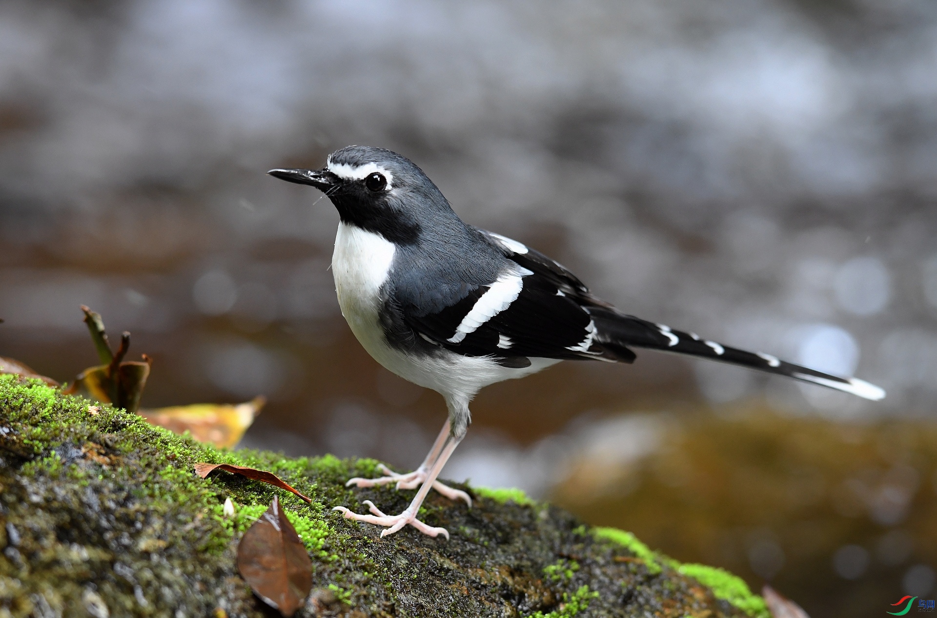 DSC_5959.jpg