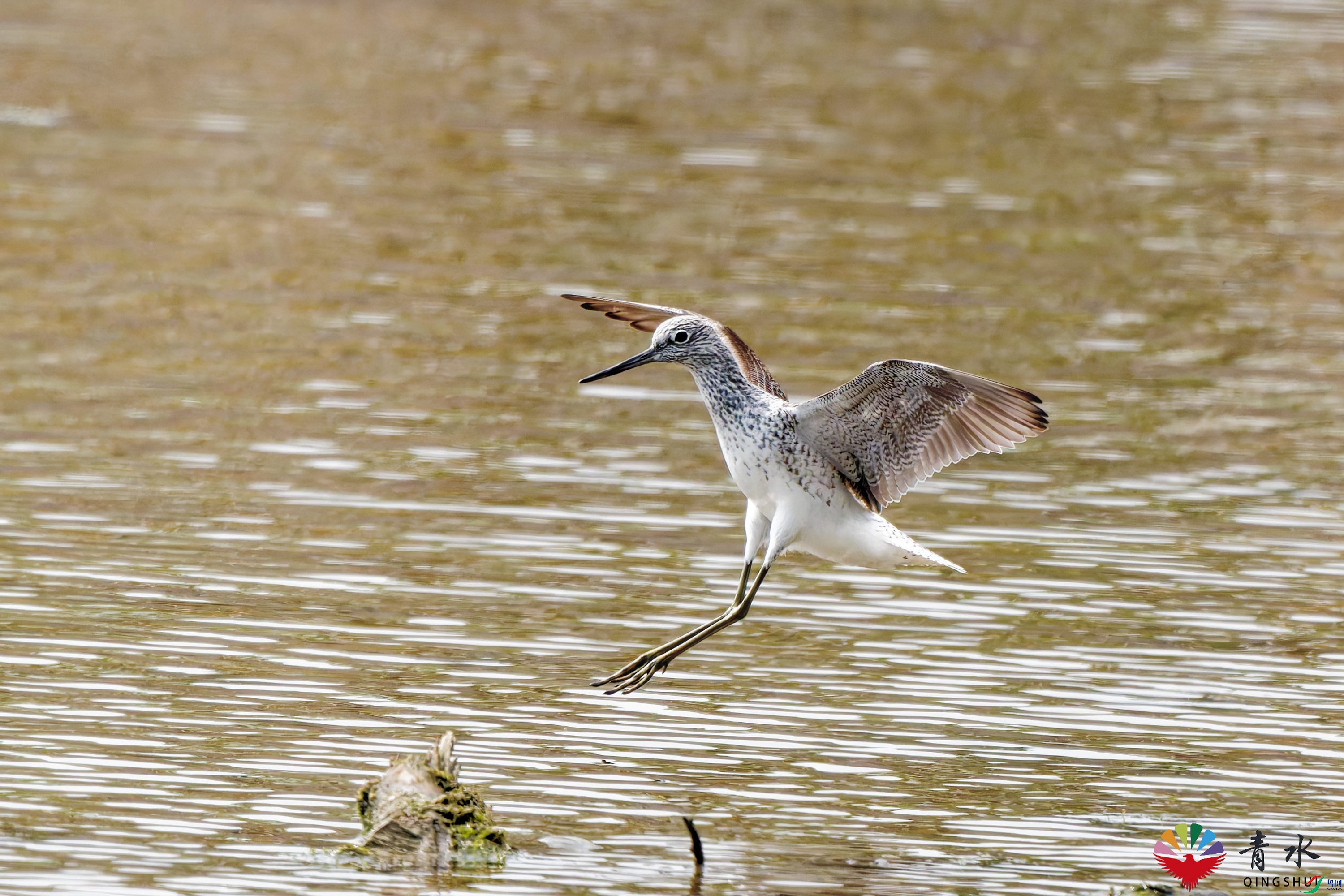 DSC_9563_DxO.jpg