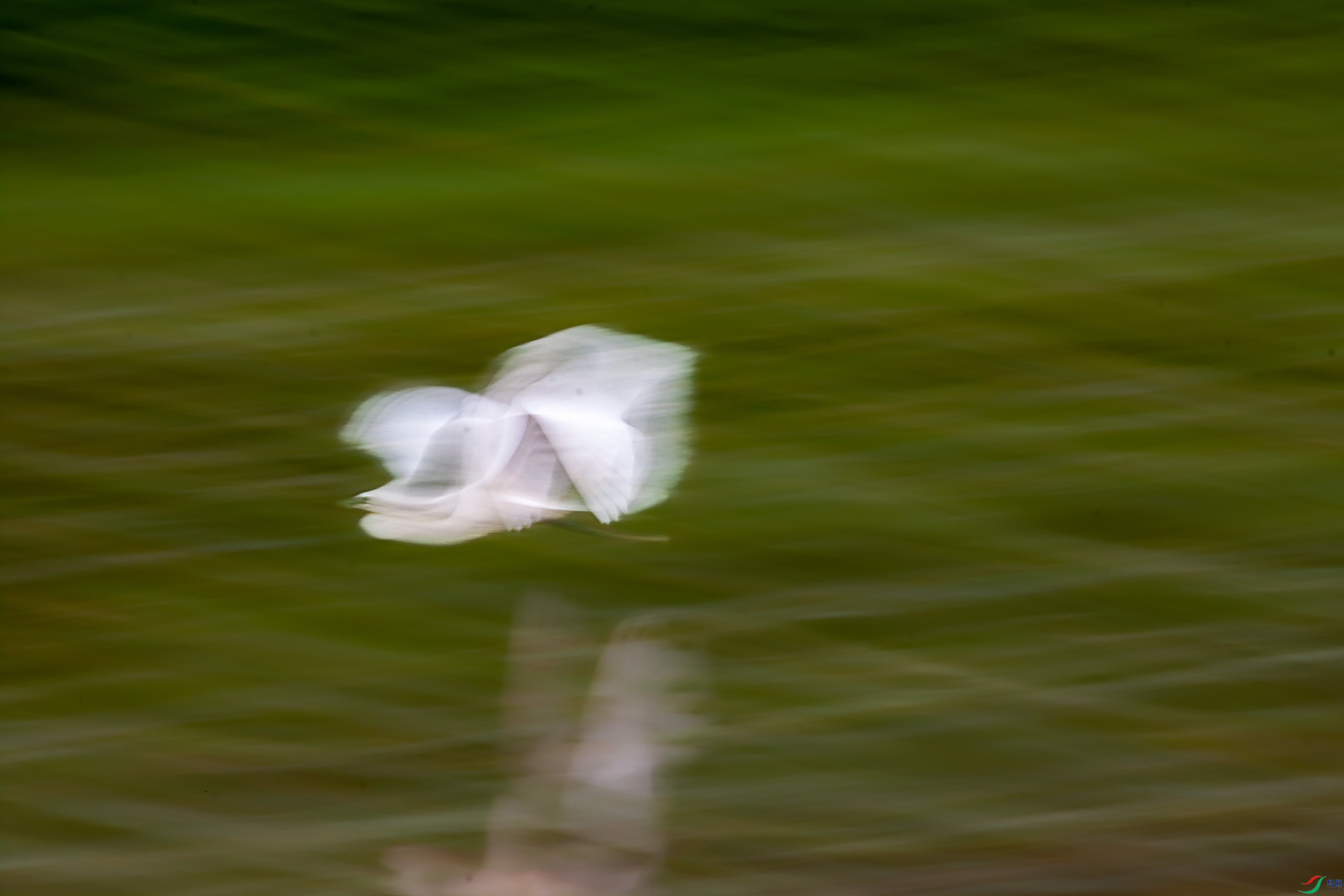 IMG_7335.jpg