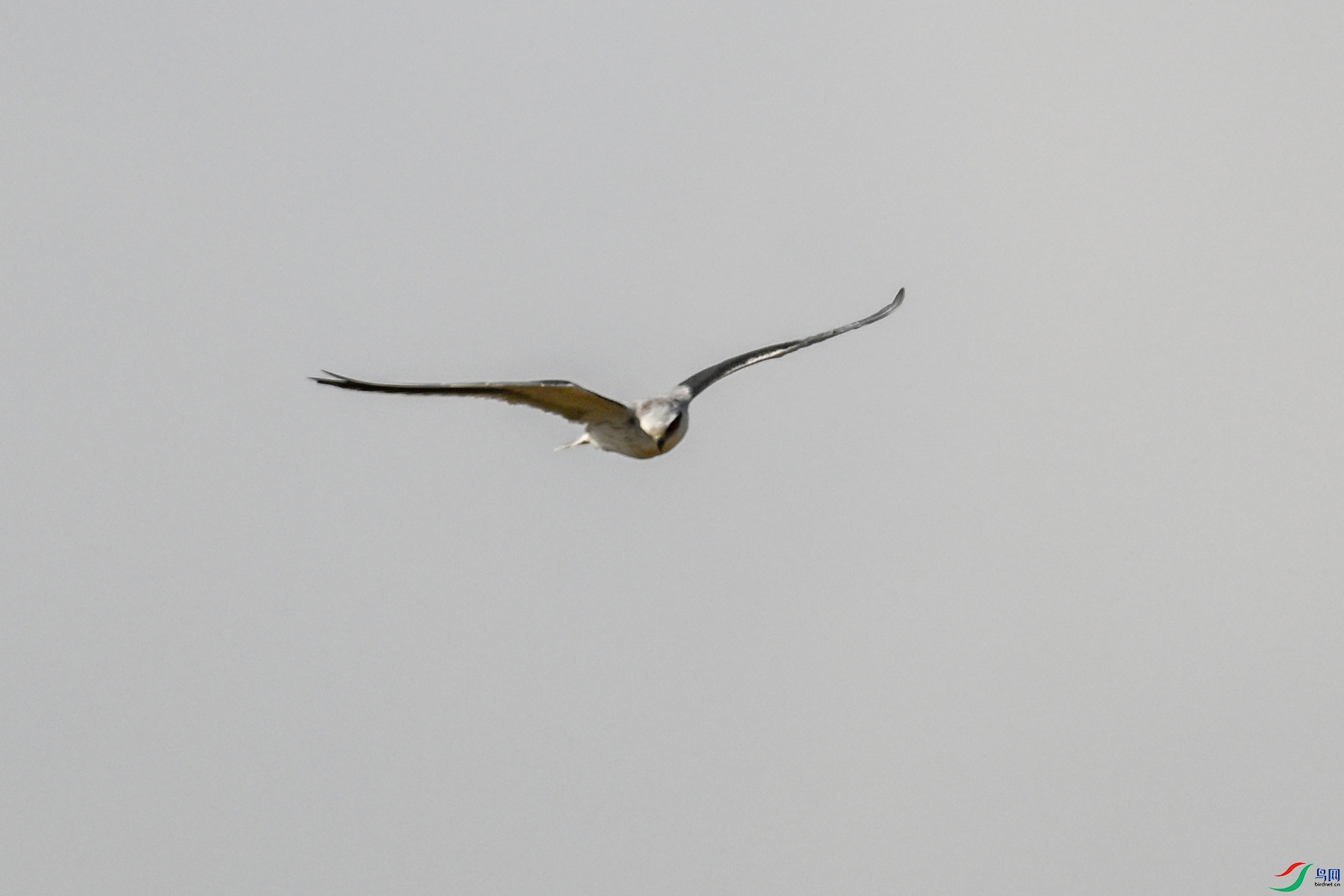 DSC_8189.JPG