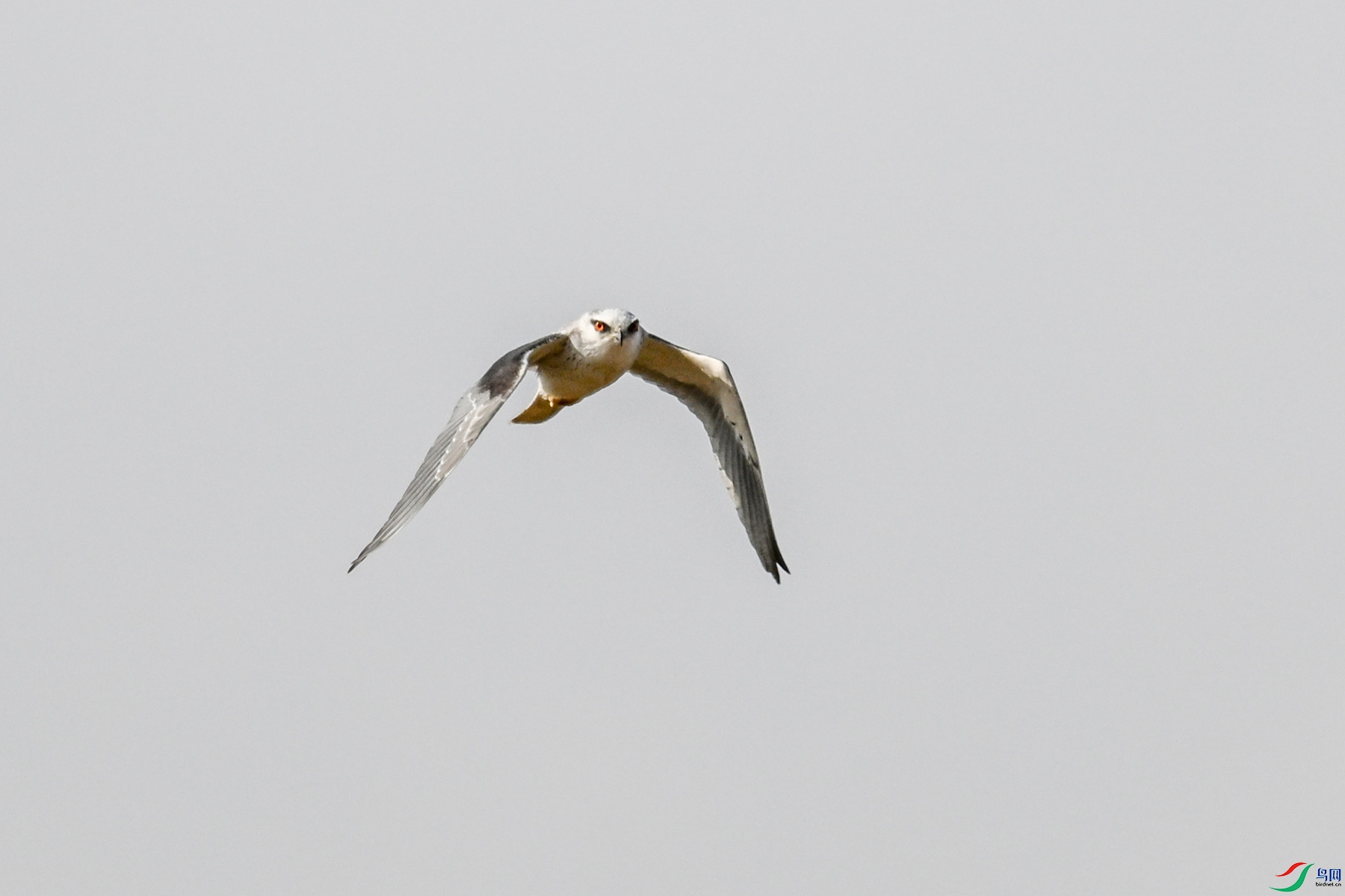 DSC_8191.JPG