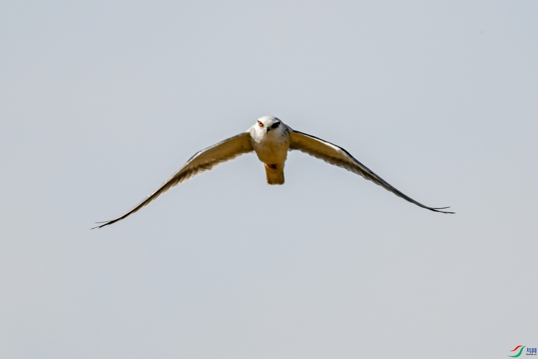 DSC_8204.JPG