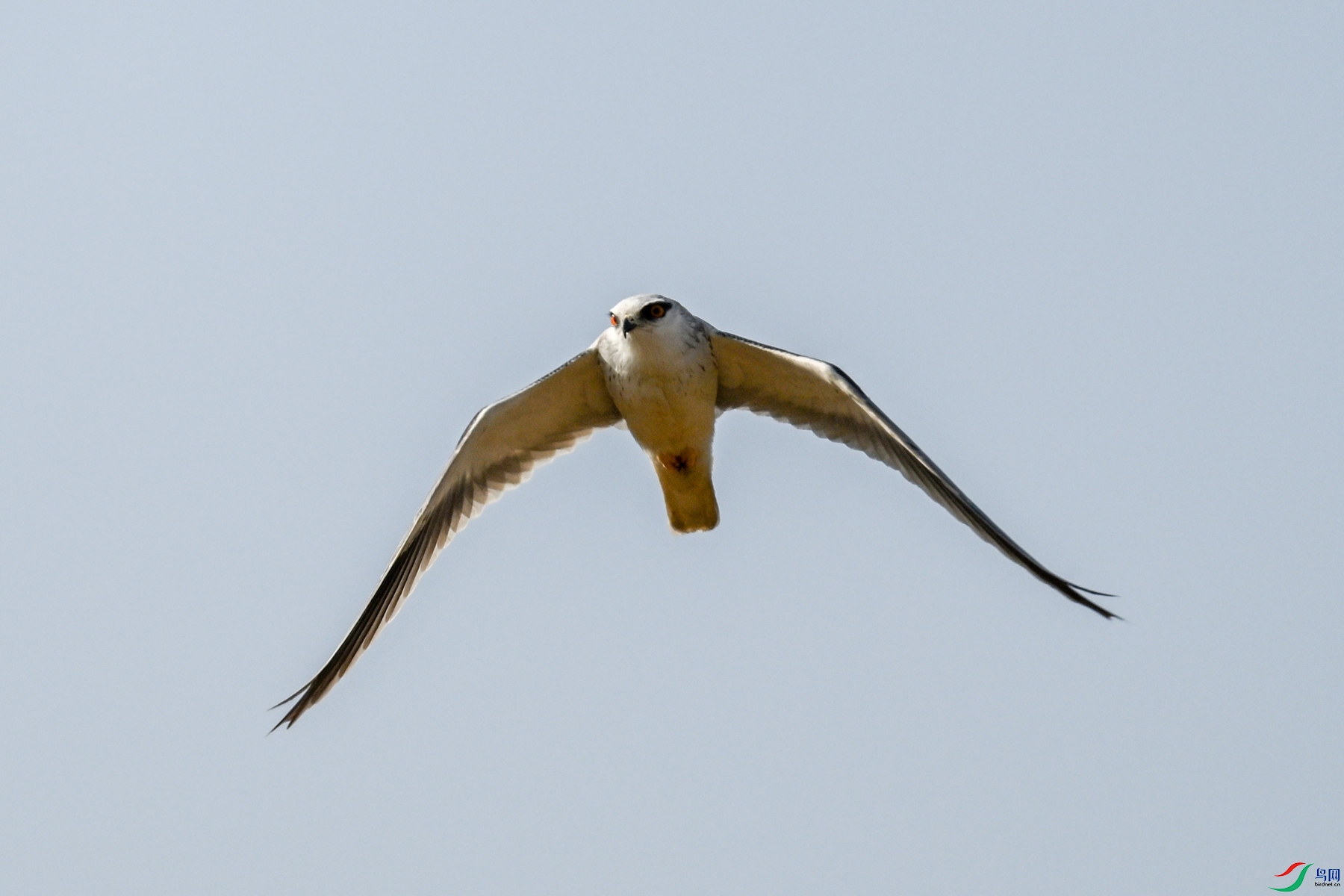 DSC_8206.JPG