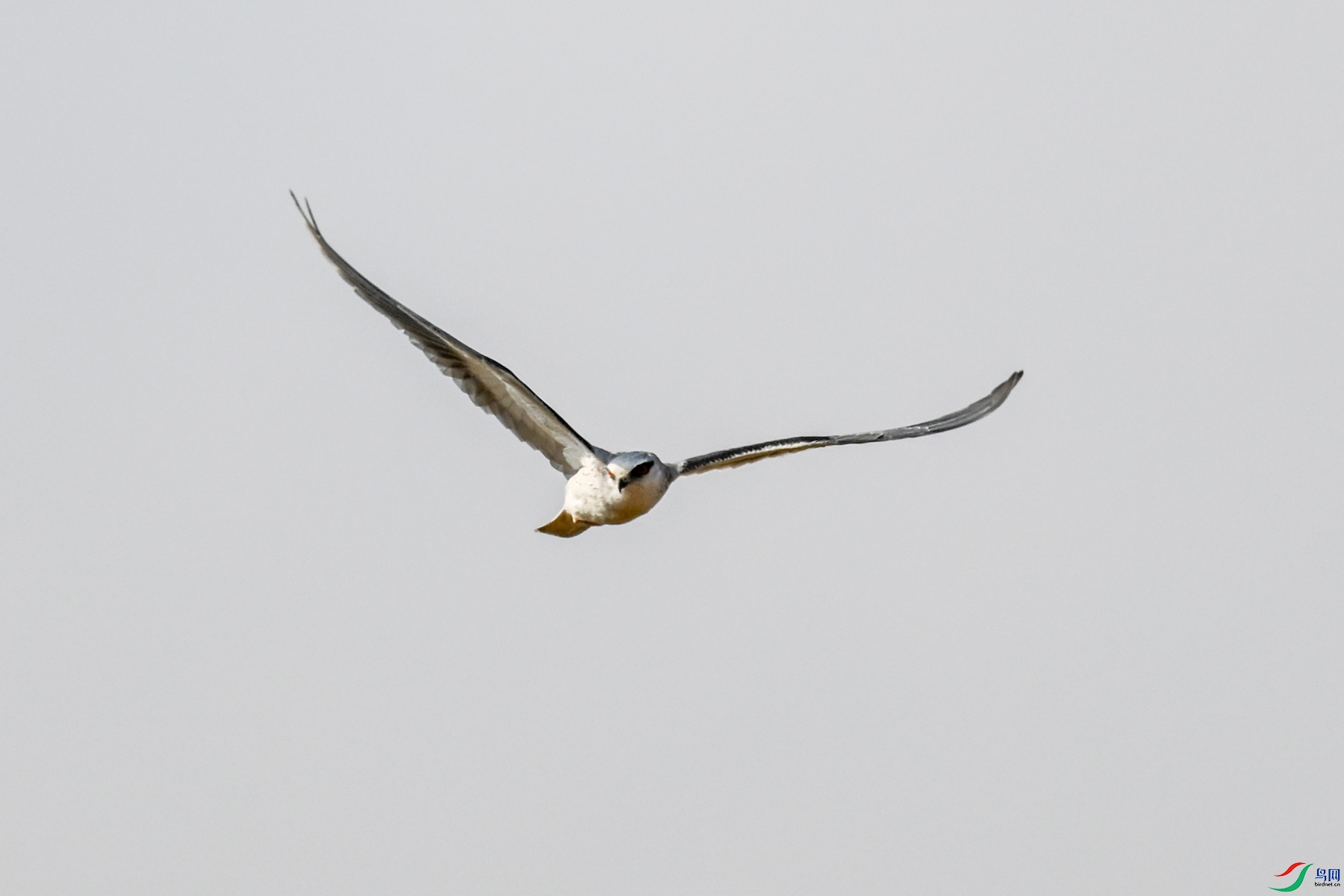 DSC_8194.JPG
