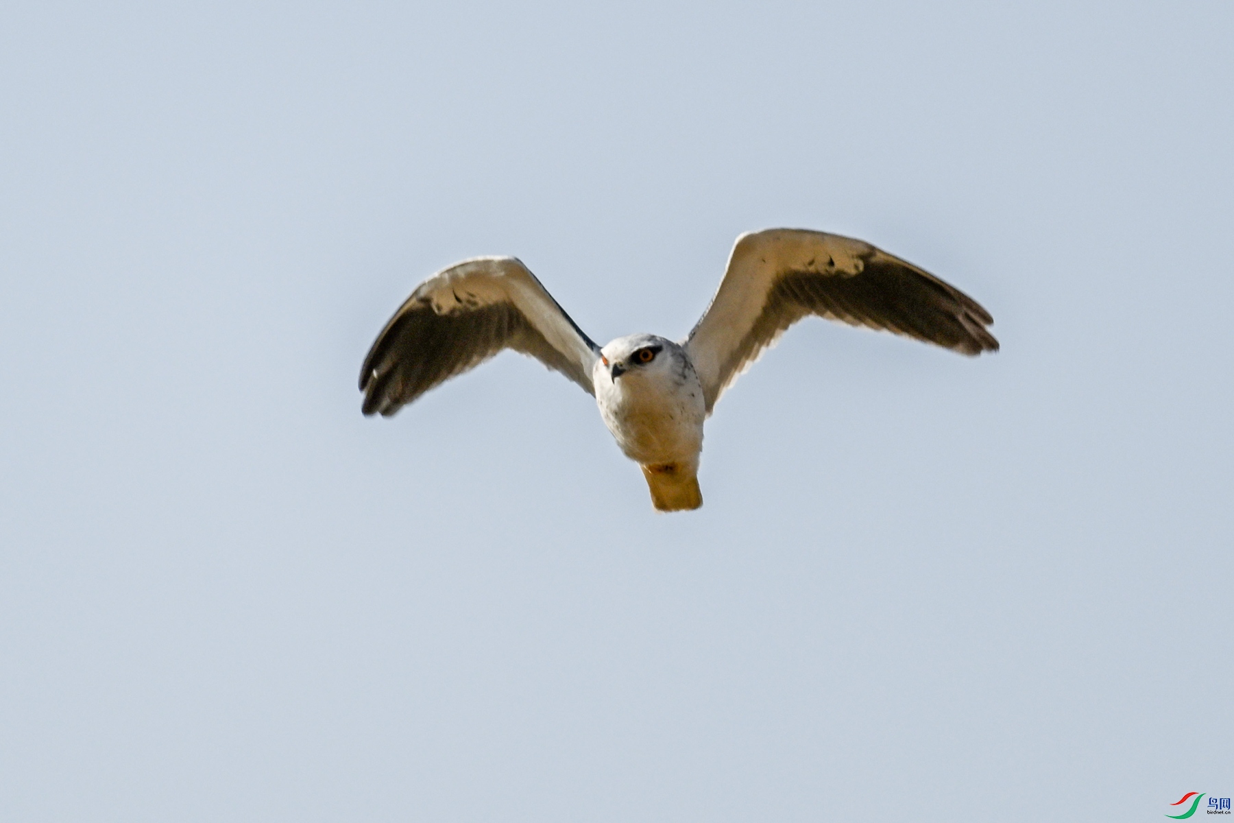 DSC_8208.JPG