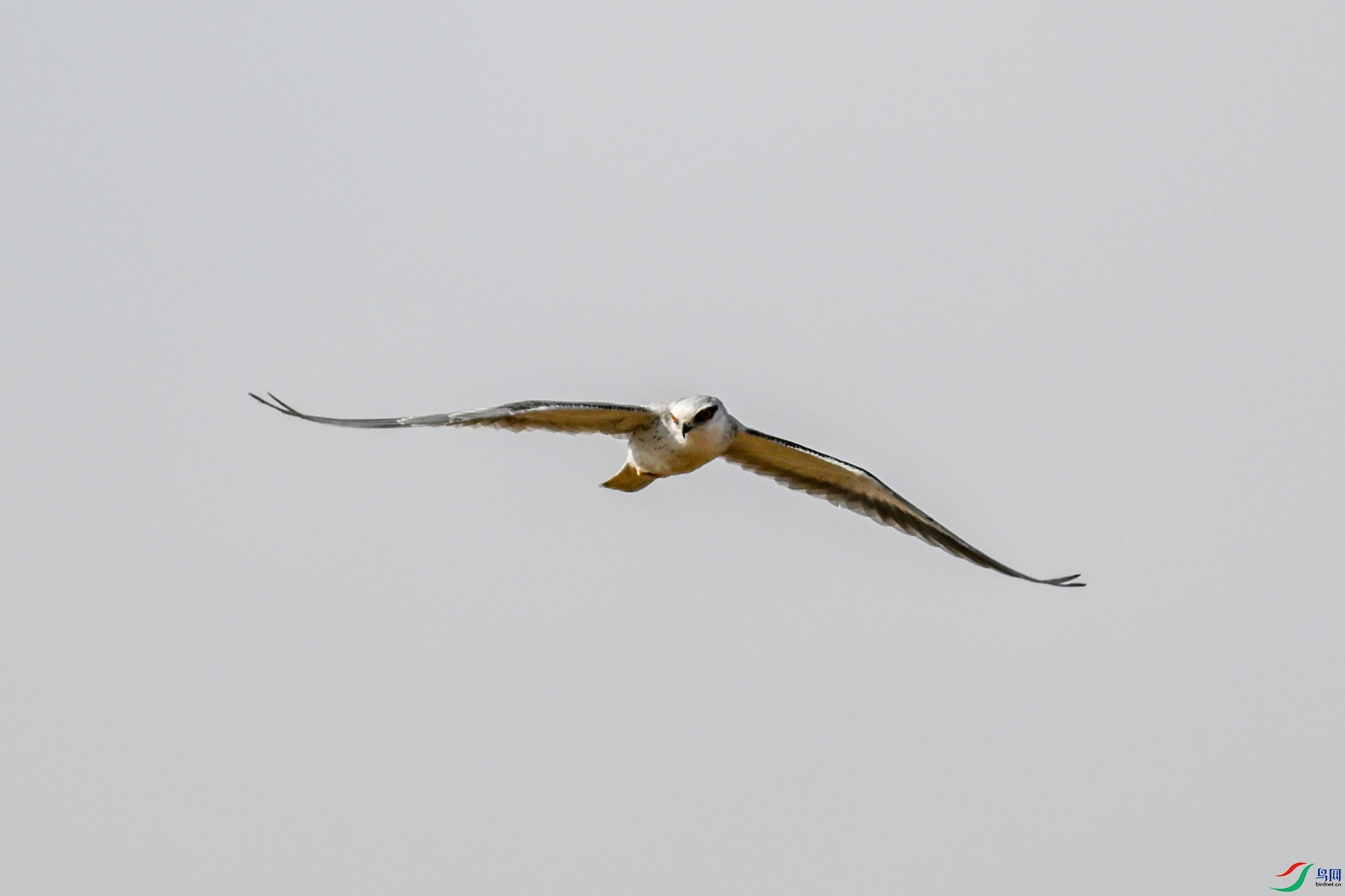 DSC_8195.JPG