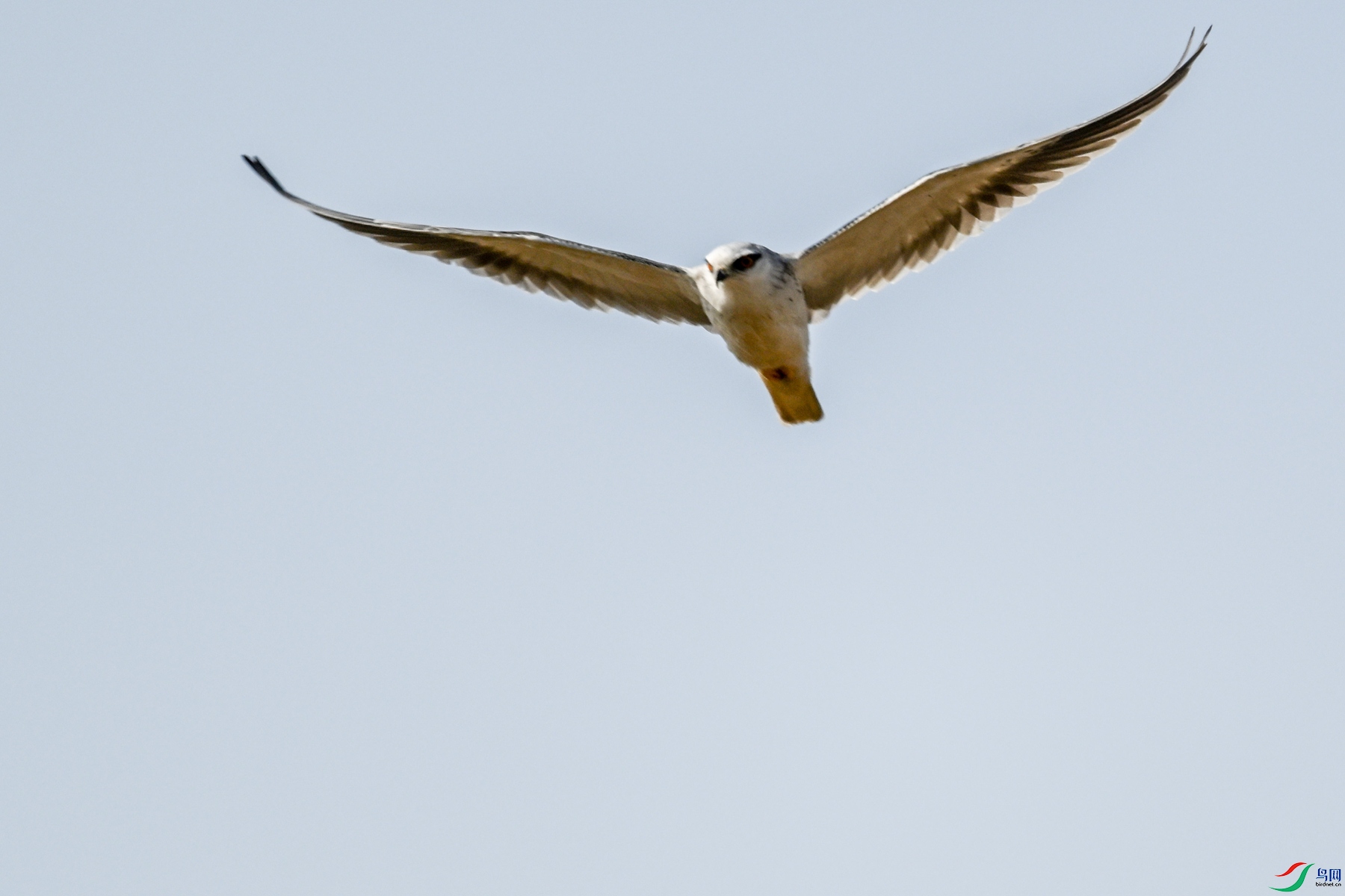 DSC_8210.JPG