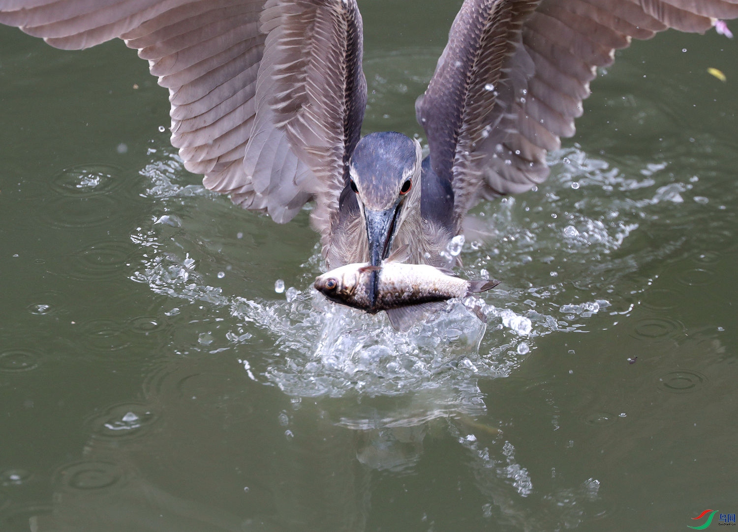 B45I4153(1).jpg