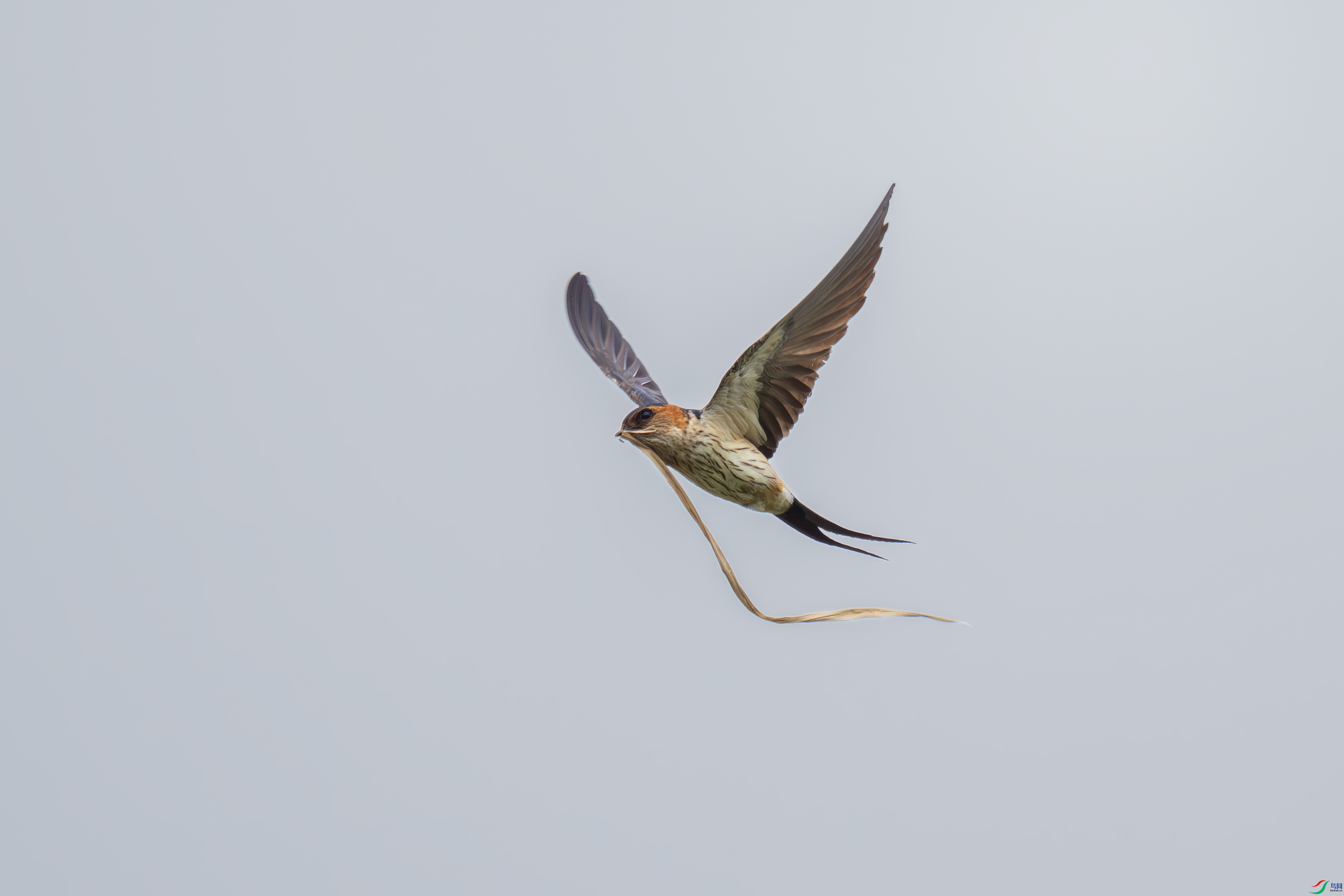 DSC_7638.jpg