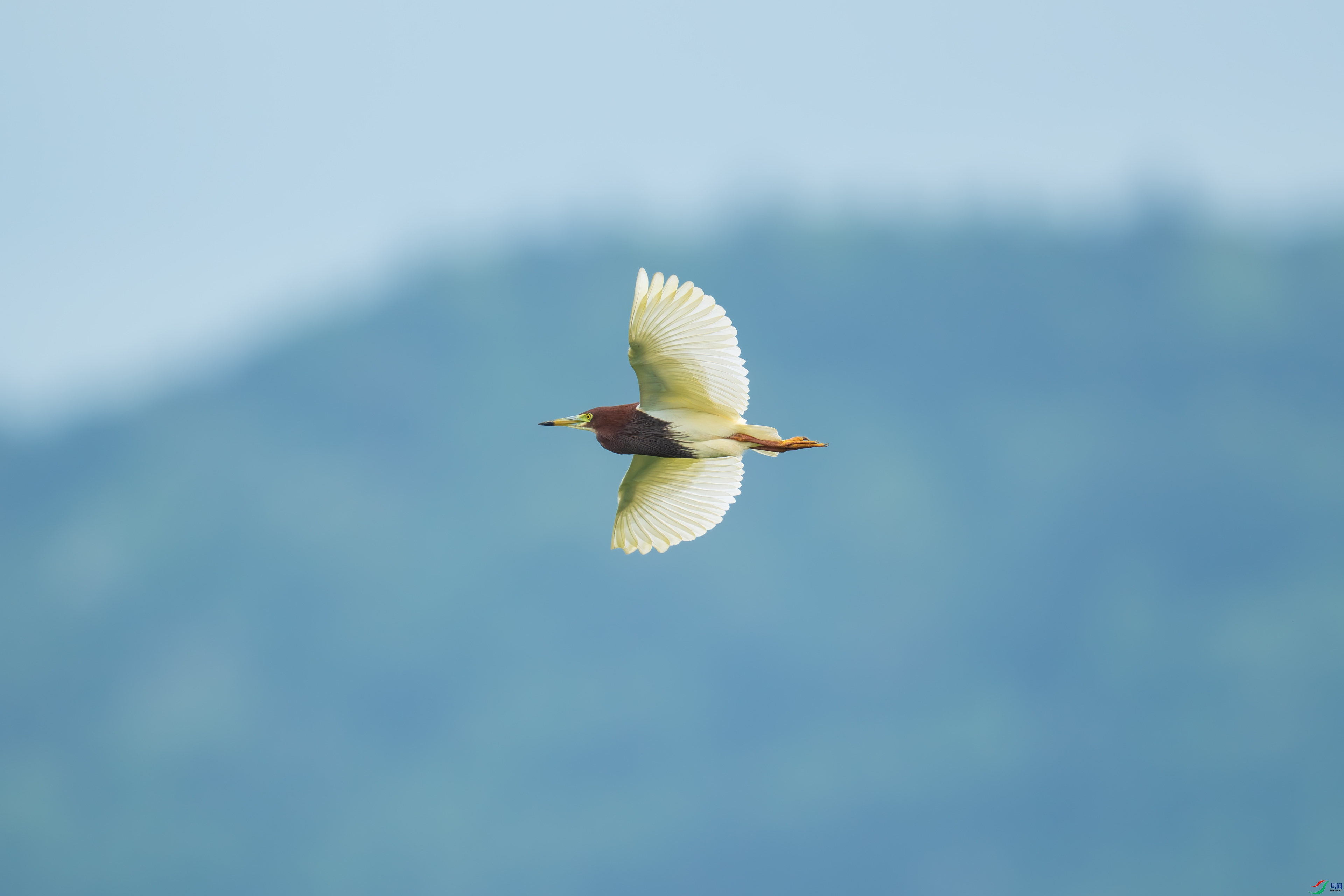 DSC_7719.jpg