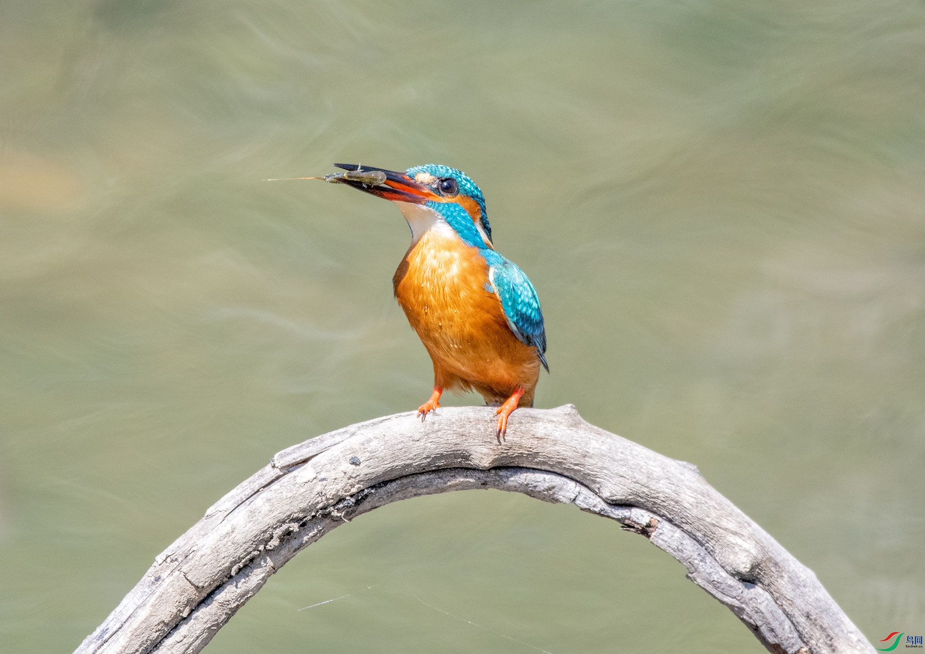 DSC_6785_��ͼ�� ����.jpg