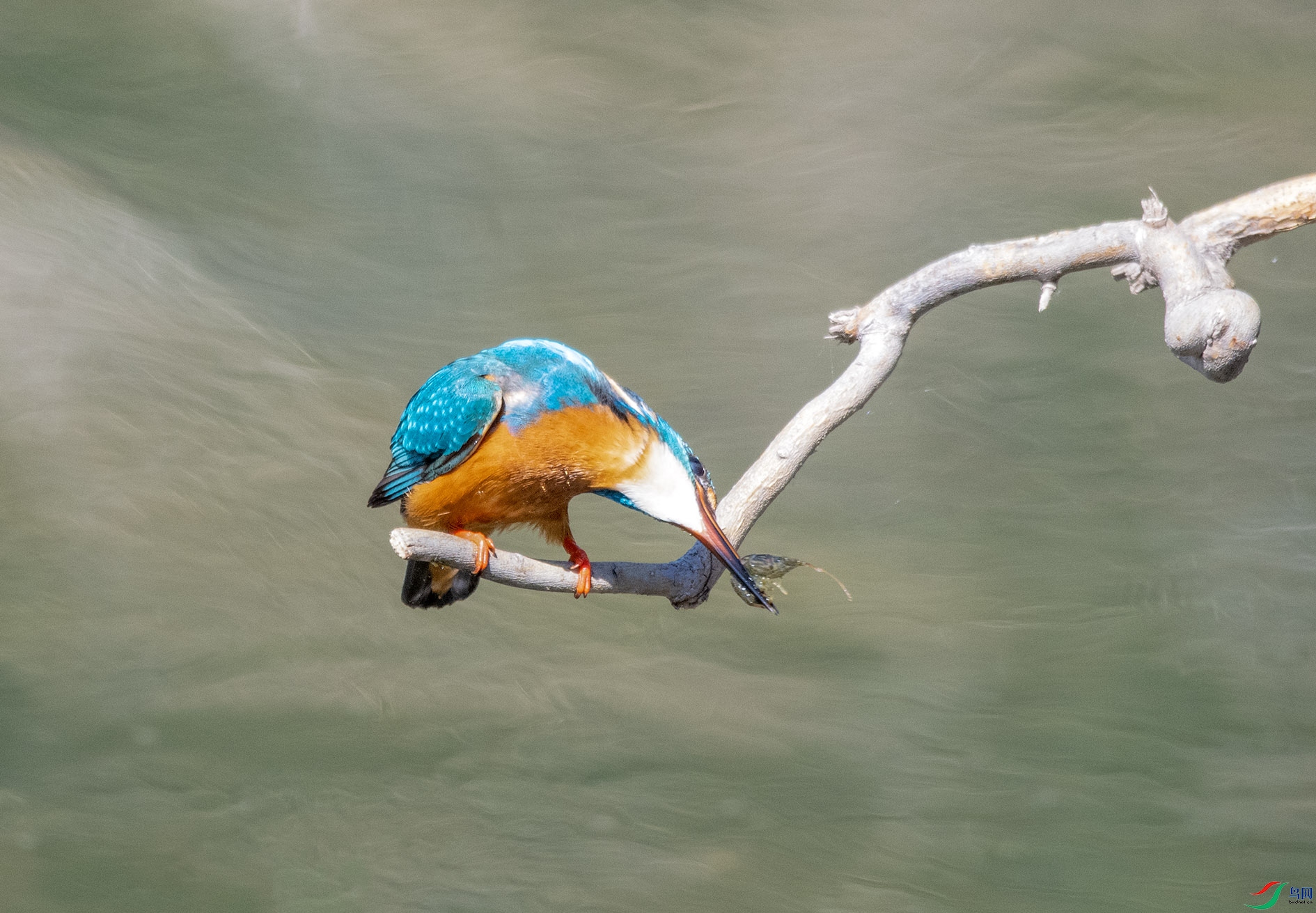 DSC_6766_��ͼ�� ����.jpg