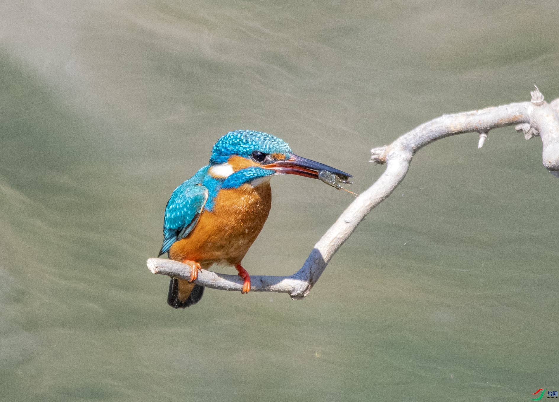 DSC_6768_��ͼ�� ����.jpg