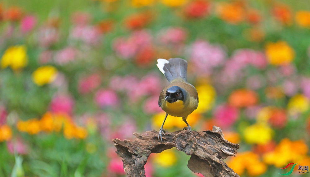 DSCF6759.1.jpg