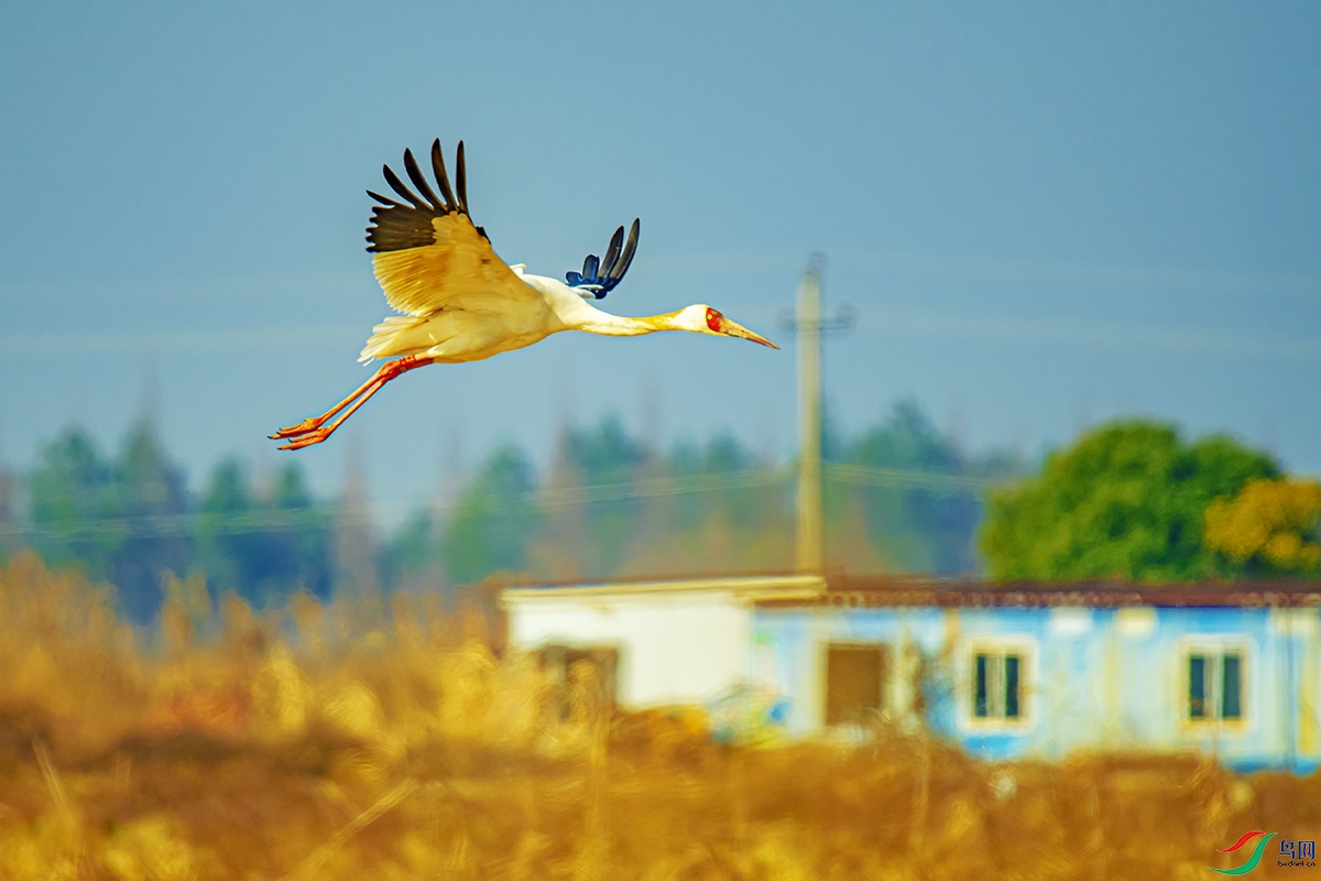 DSC_7239-����ǿ.jpg