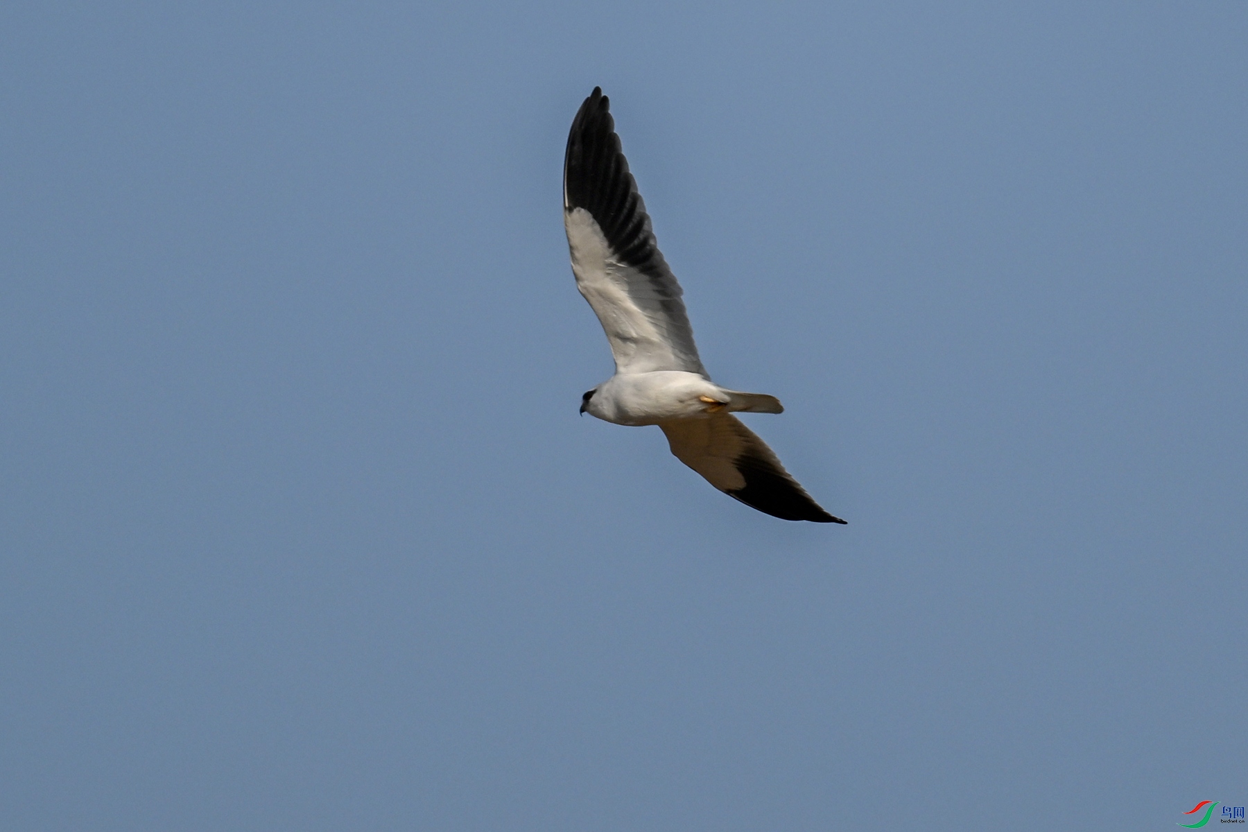 DSC_8240.JPG