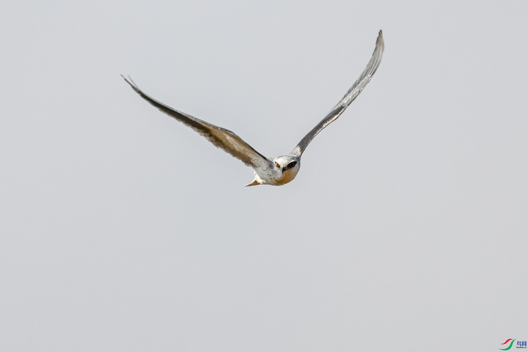 DSC_8198.JPG