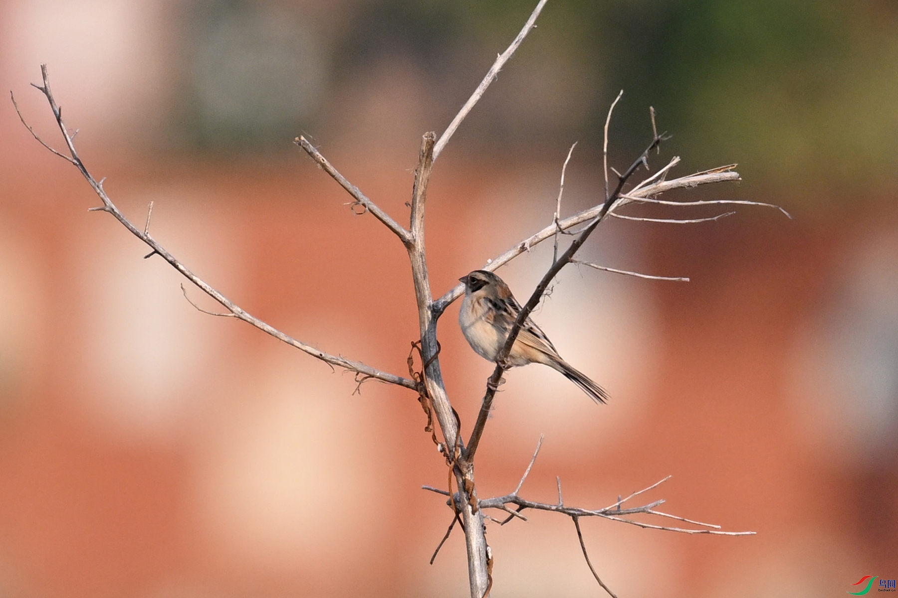 DSC_8269.JPG