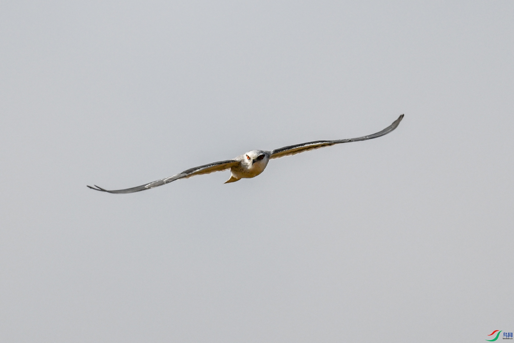 DSC_8199.JPG