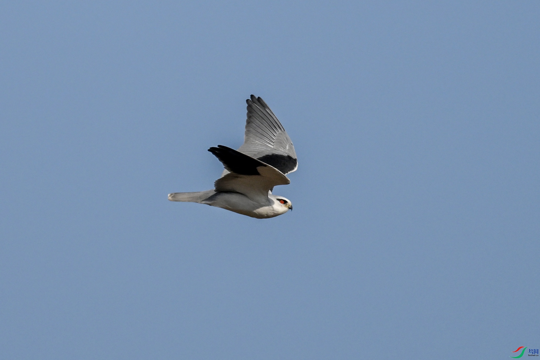 DSC_8245.JPG