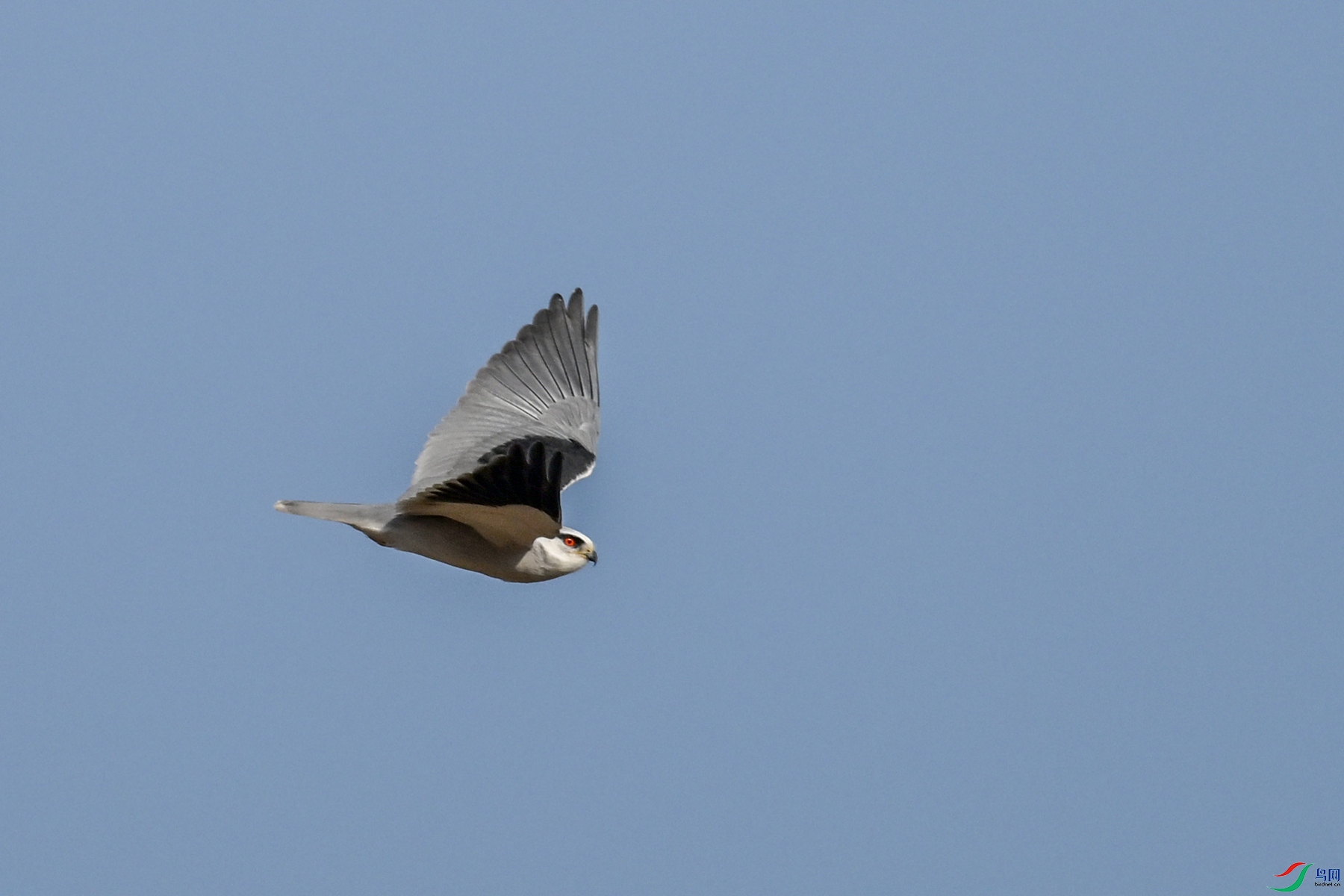 DSC_8247.JPG