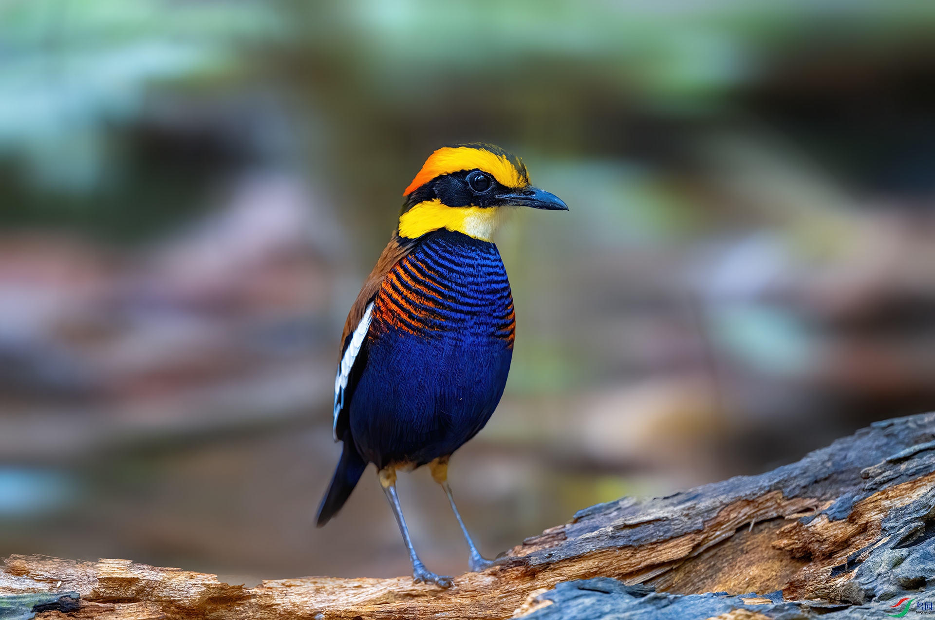 _DSC4744.jpg