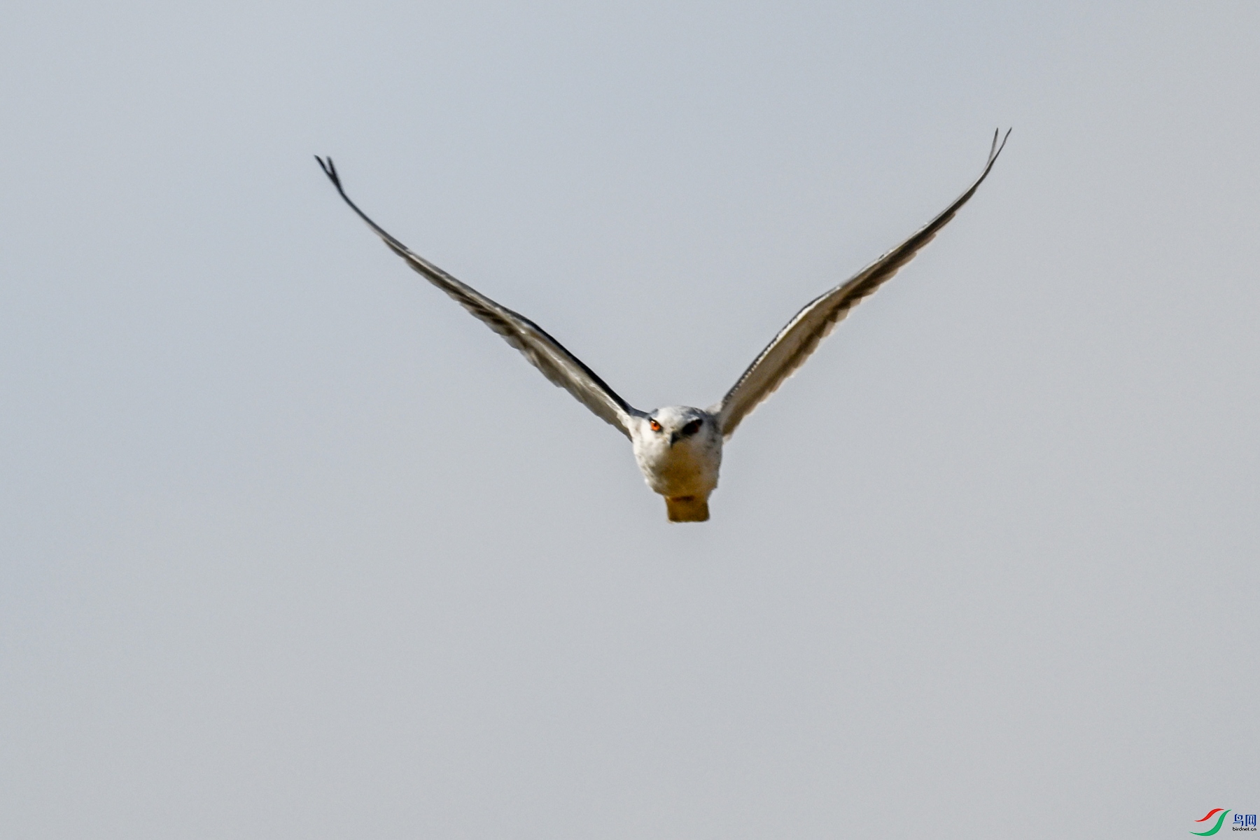 DSC_8202.JPG