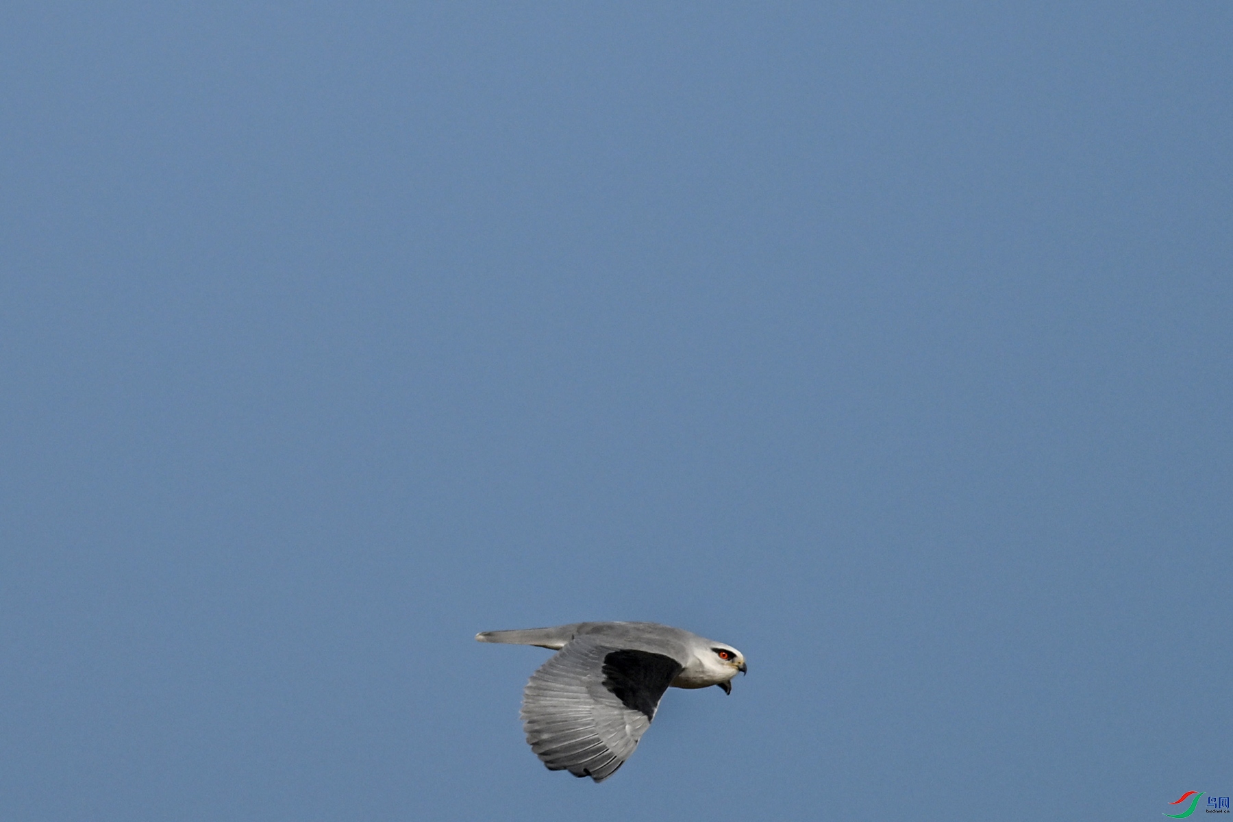 DSC_8249.JPG
