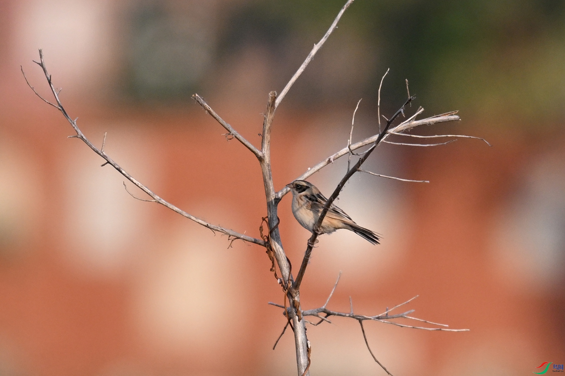 DSC_8272.JPG