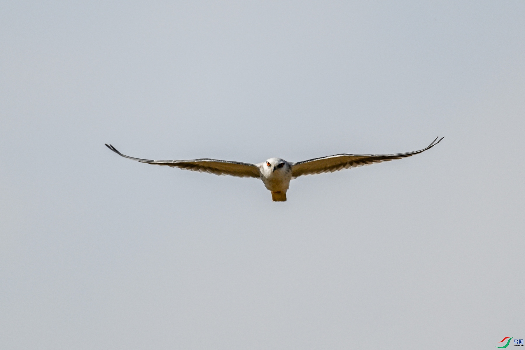 DSC_8203.JPG