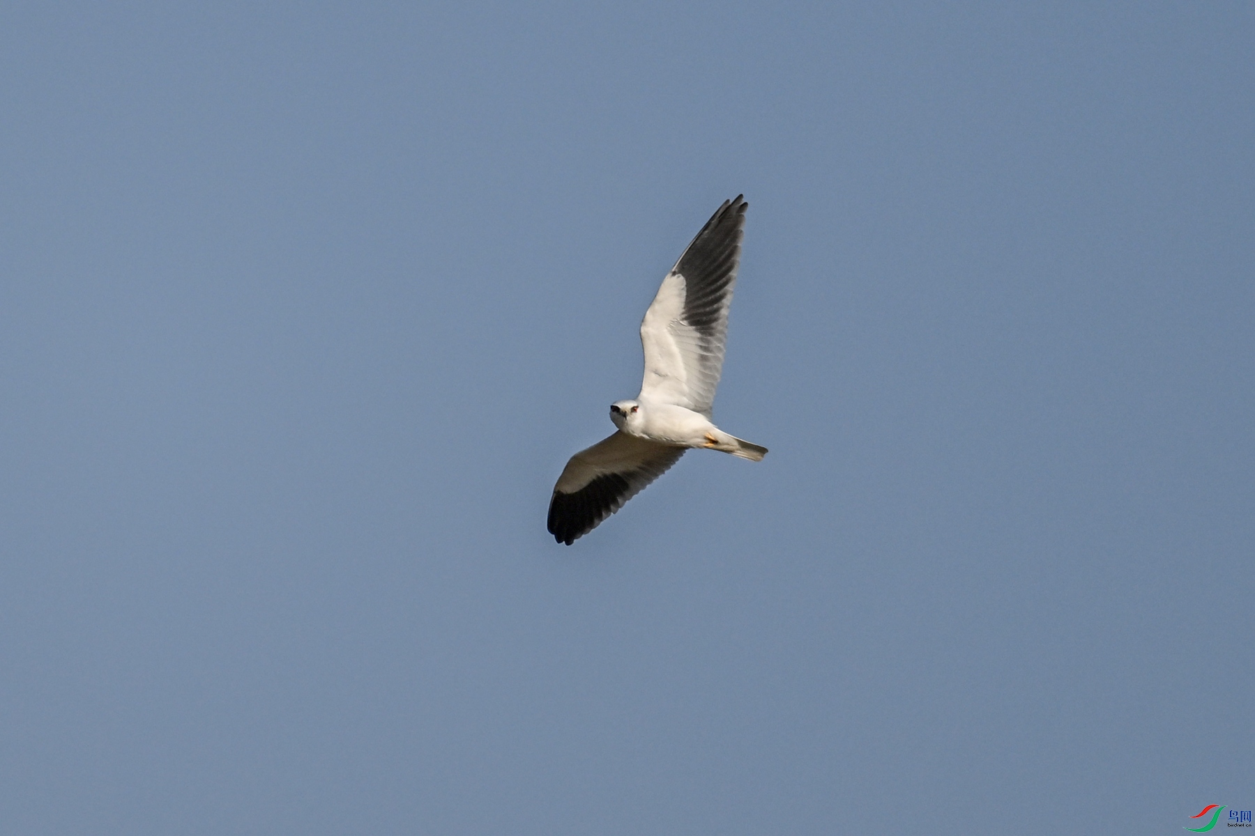 DSC_8251.JPG